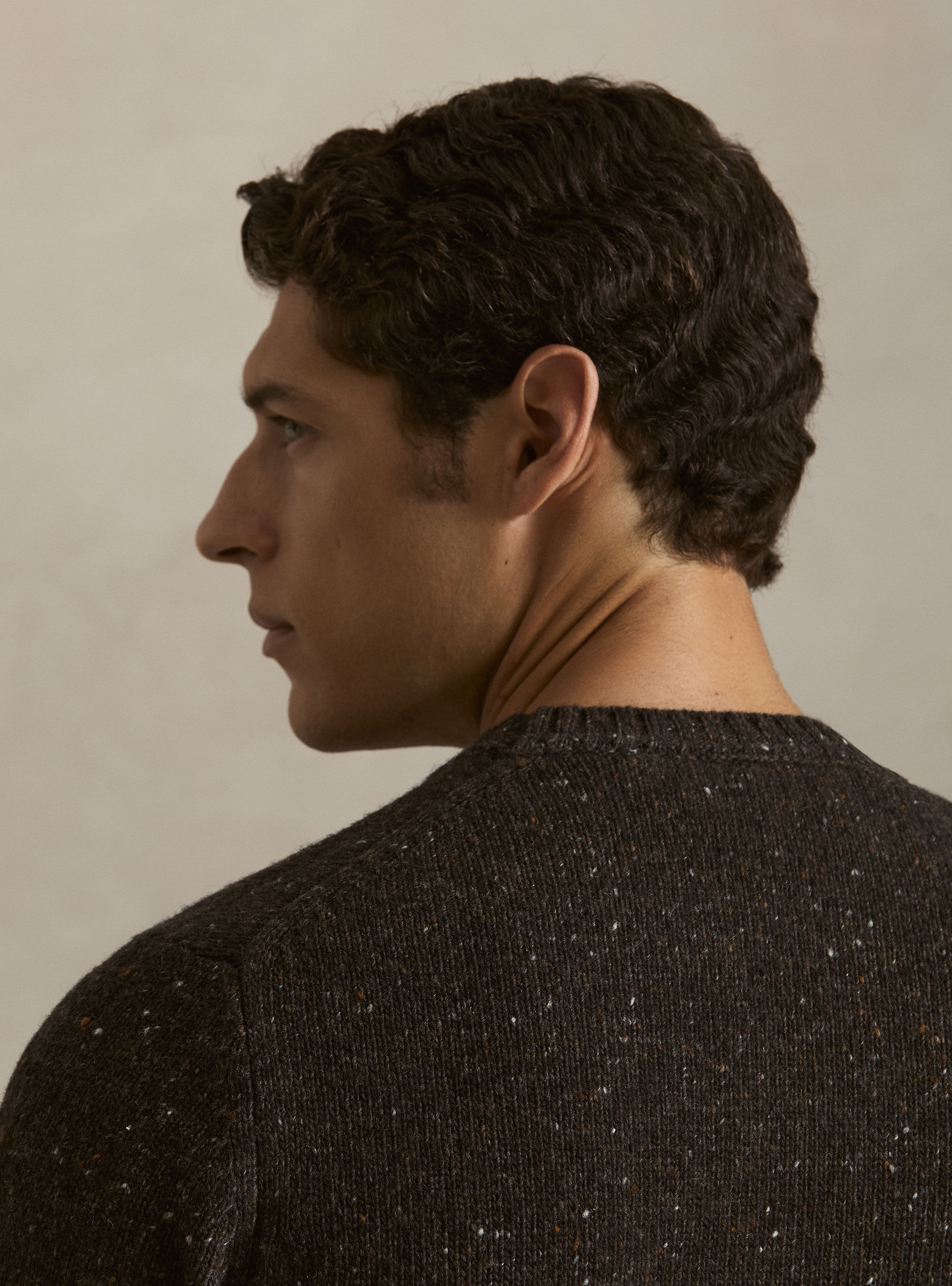 Donegal-style merino wool blend crewneck sweater, BROWN