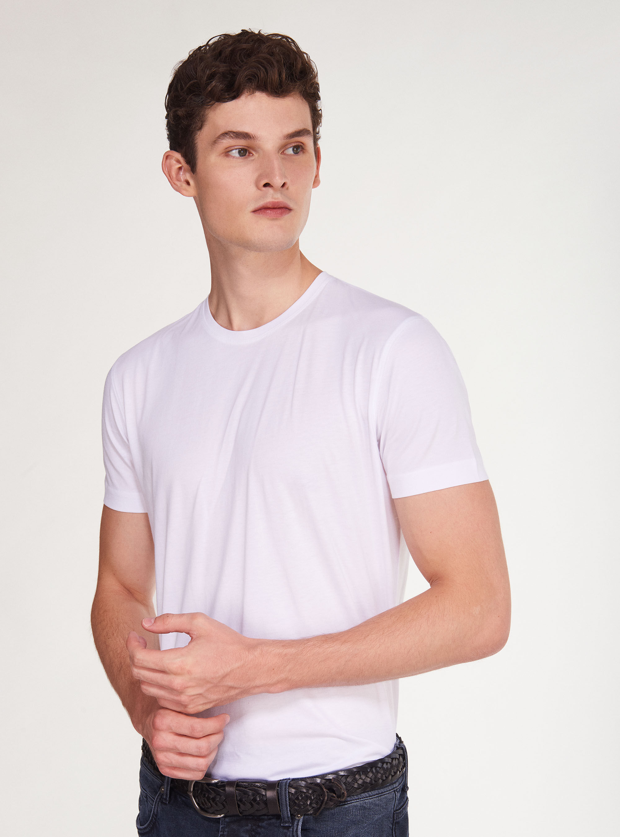Supima cotton shop t shirts