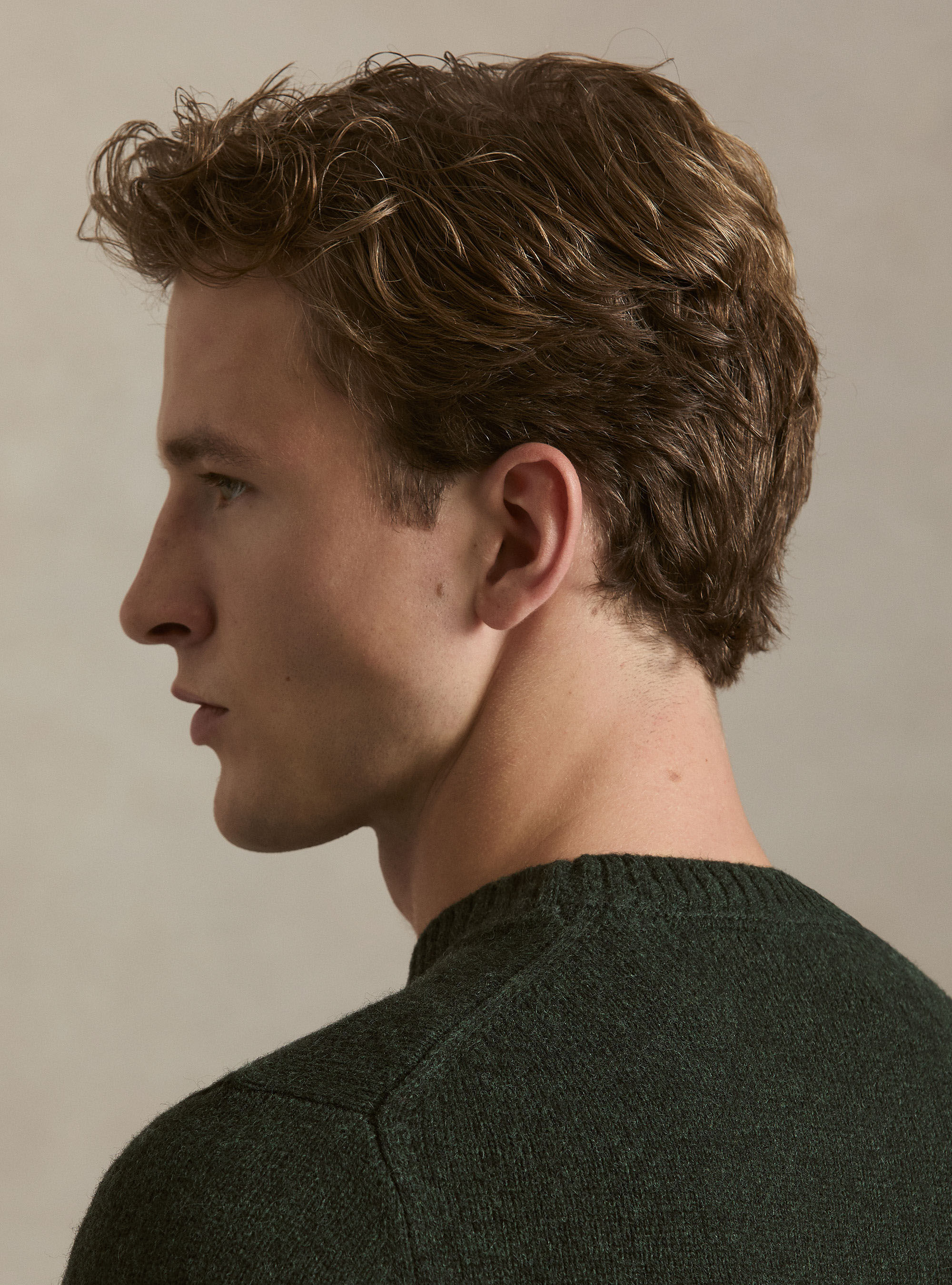 Pure Shetland wool crewneck sweater, GREEN