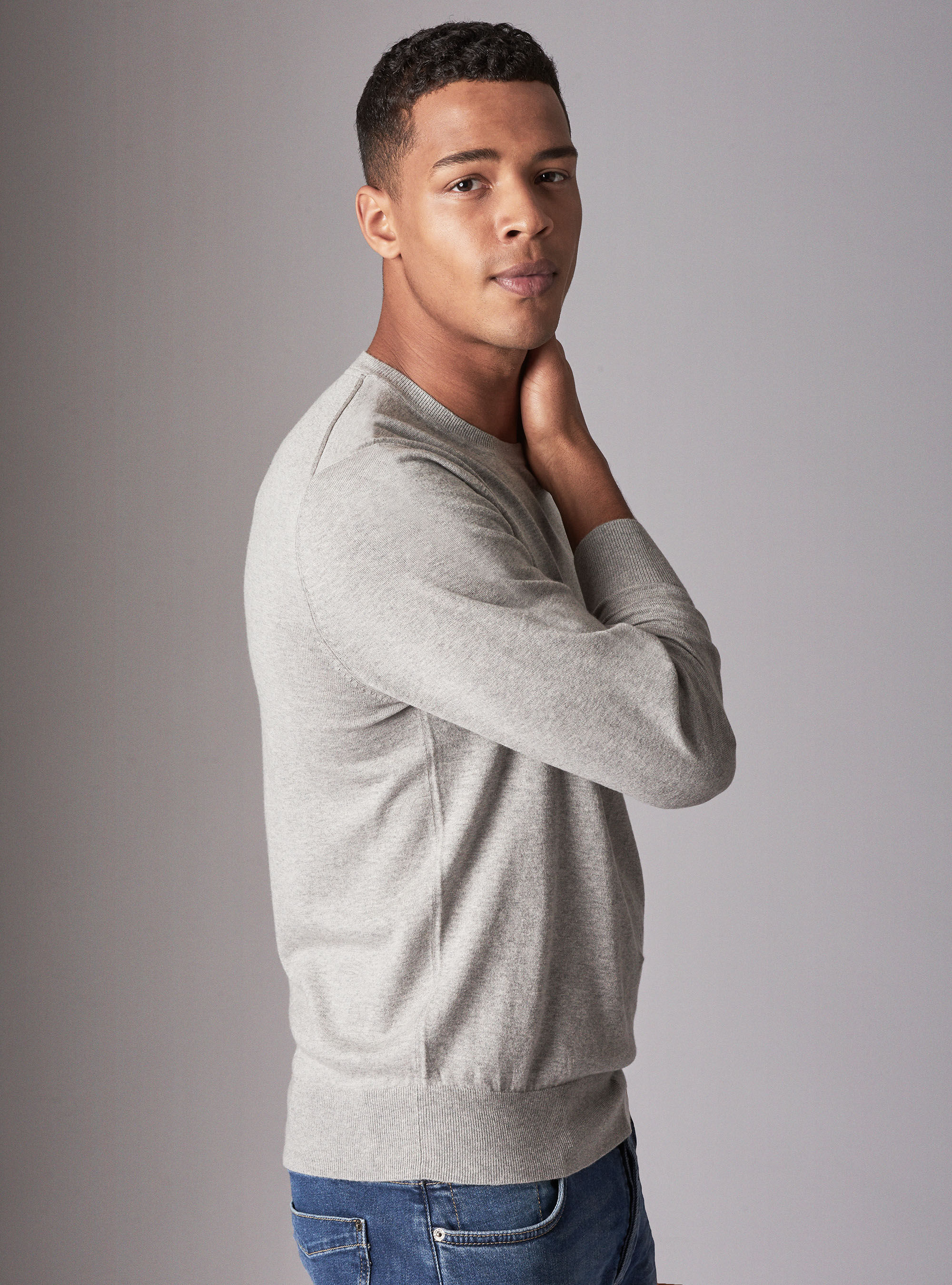 Jersey cuello redondo b&aacute;sico en algod&oacute;n seda cashmere, GRIS CLARO JASPEADO