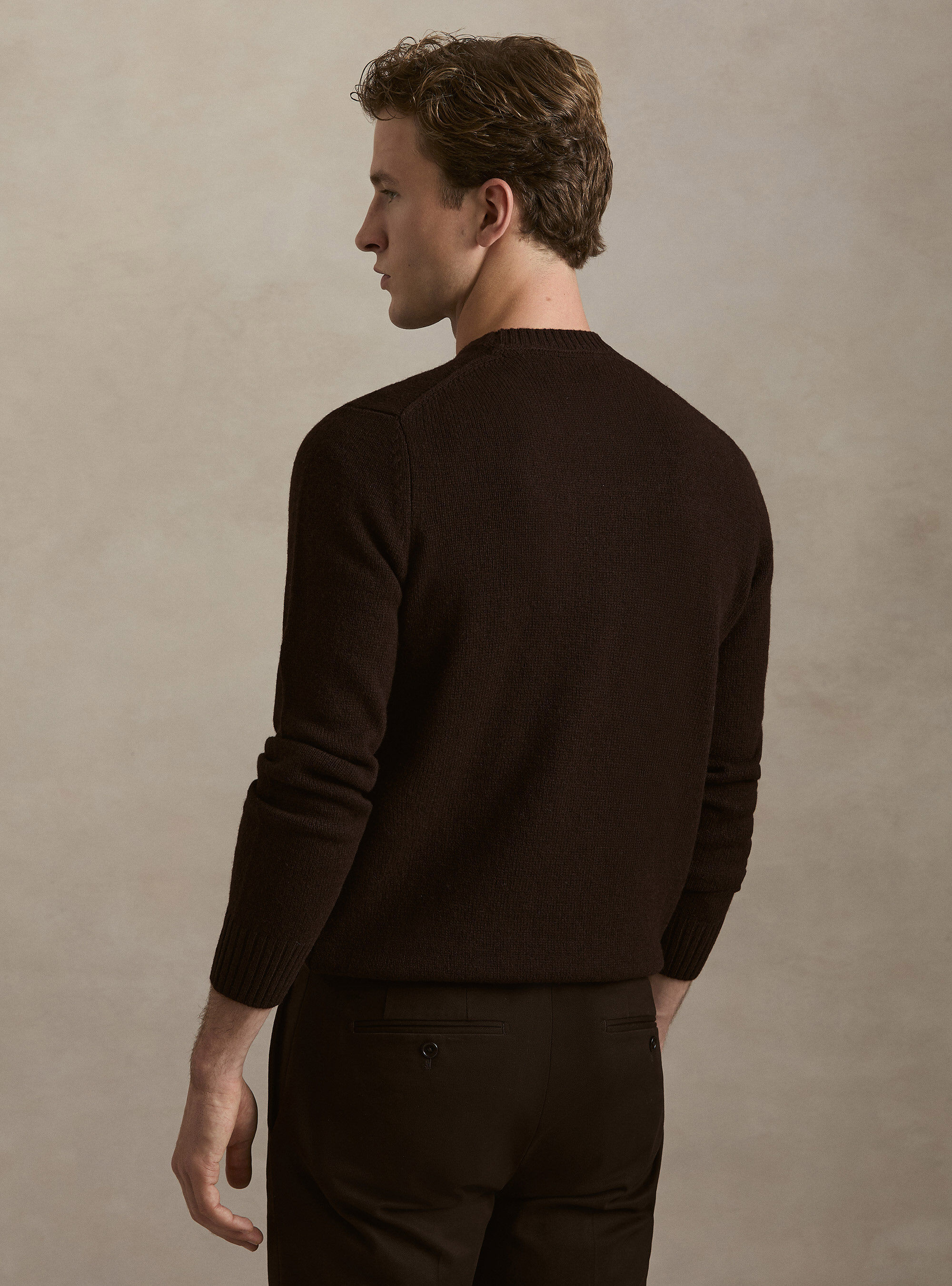 Pure Shetland wool crewneck sweater, BROWN