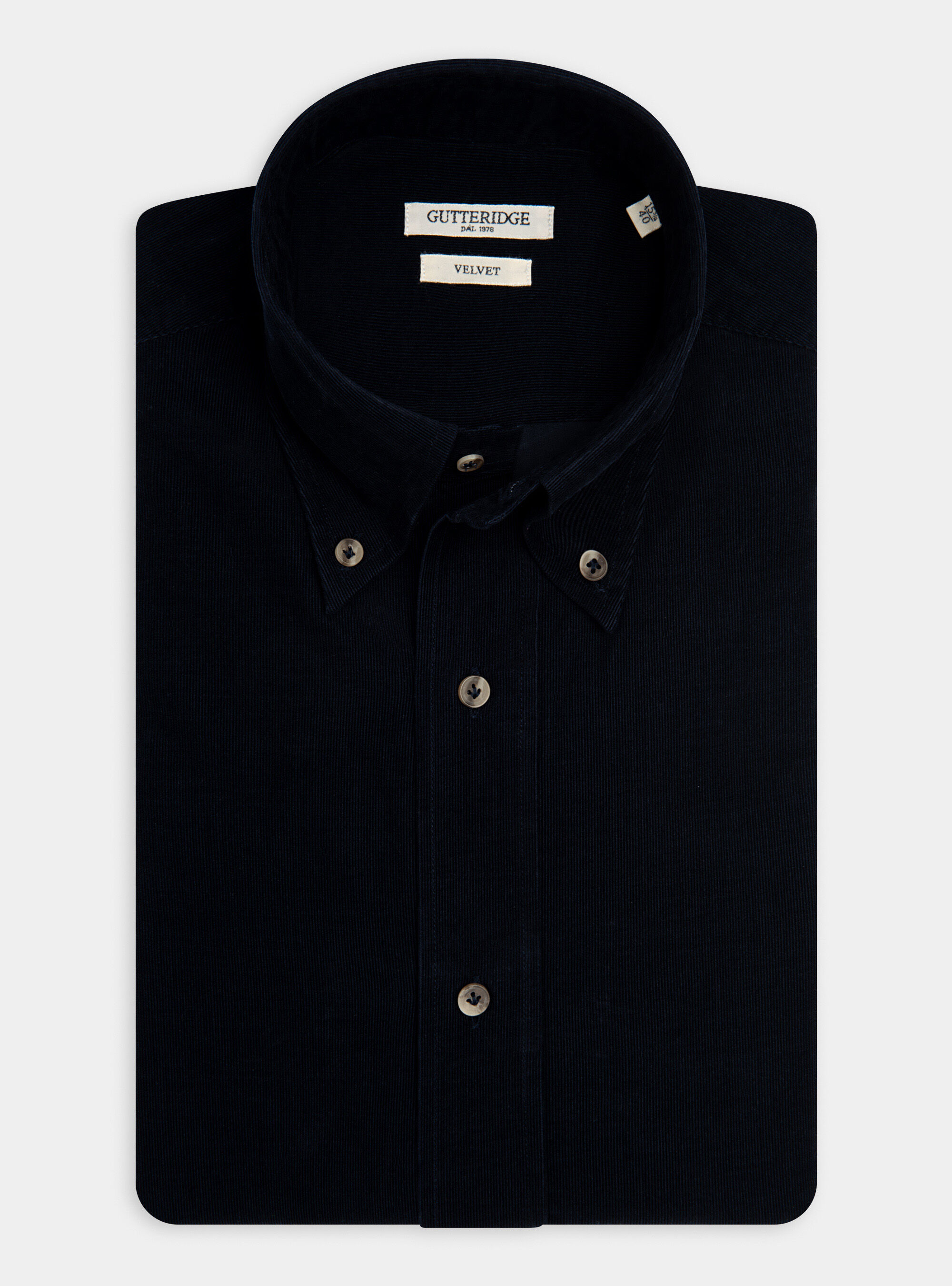 Camicia collo button down in velluto