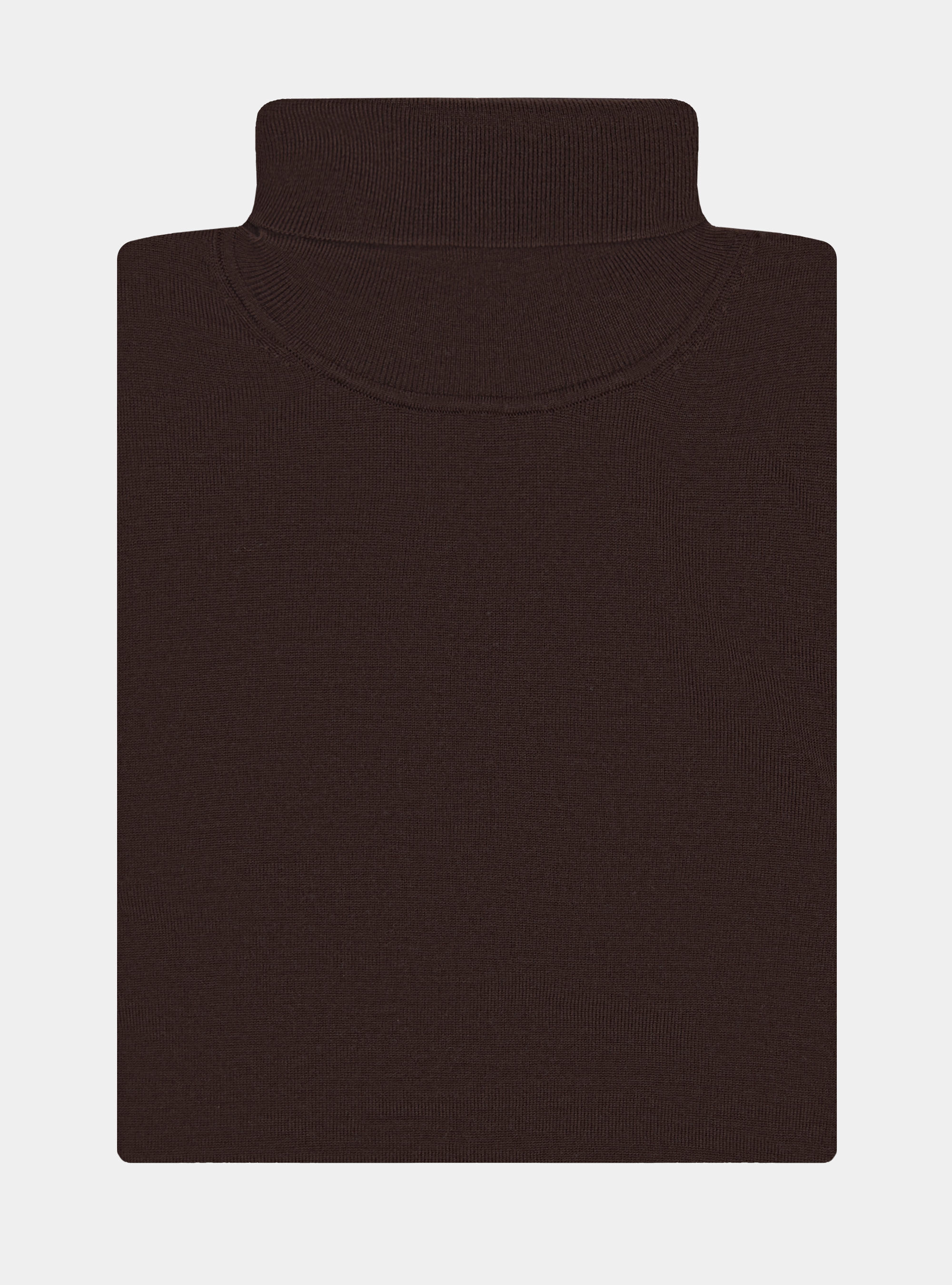 Turtleneck in pure extra-fine merino wool, BROWN