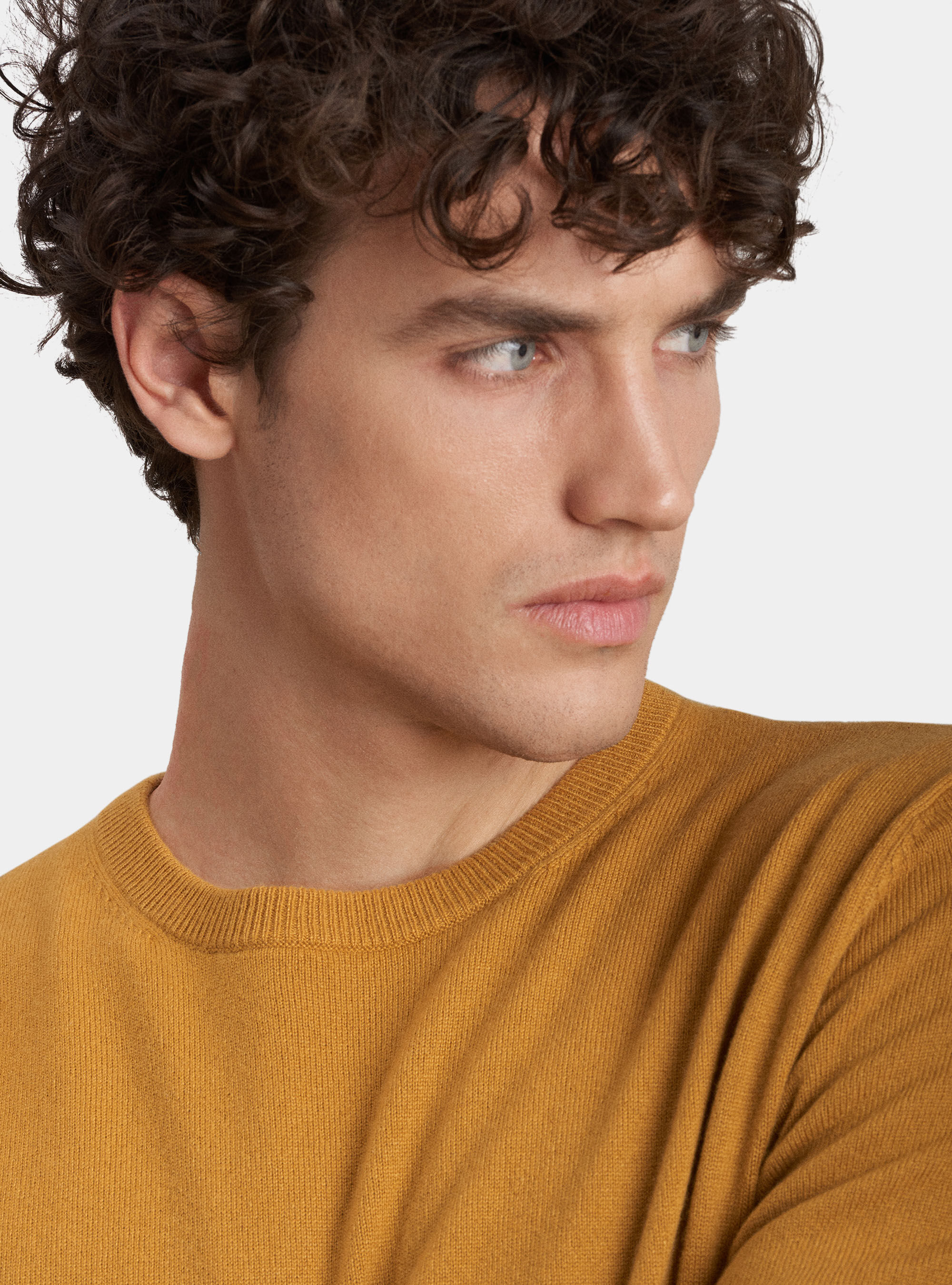 Crew-neck sweater 100% cashmere, SENAPE 0715C