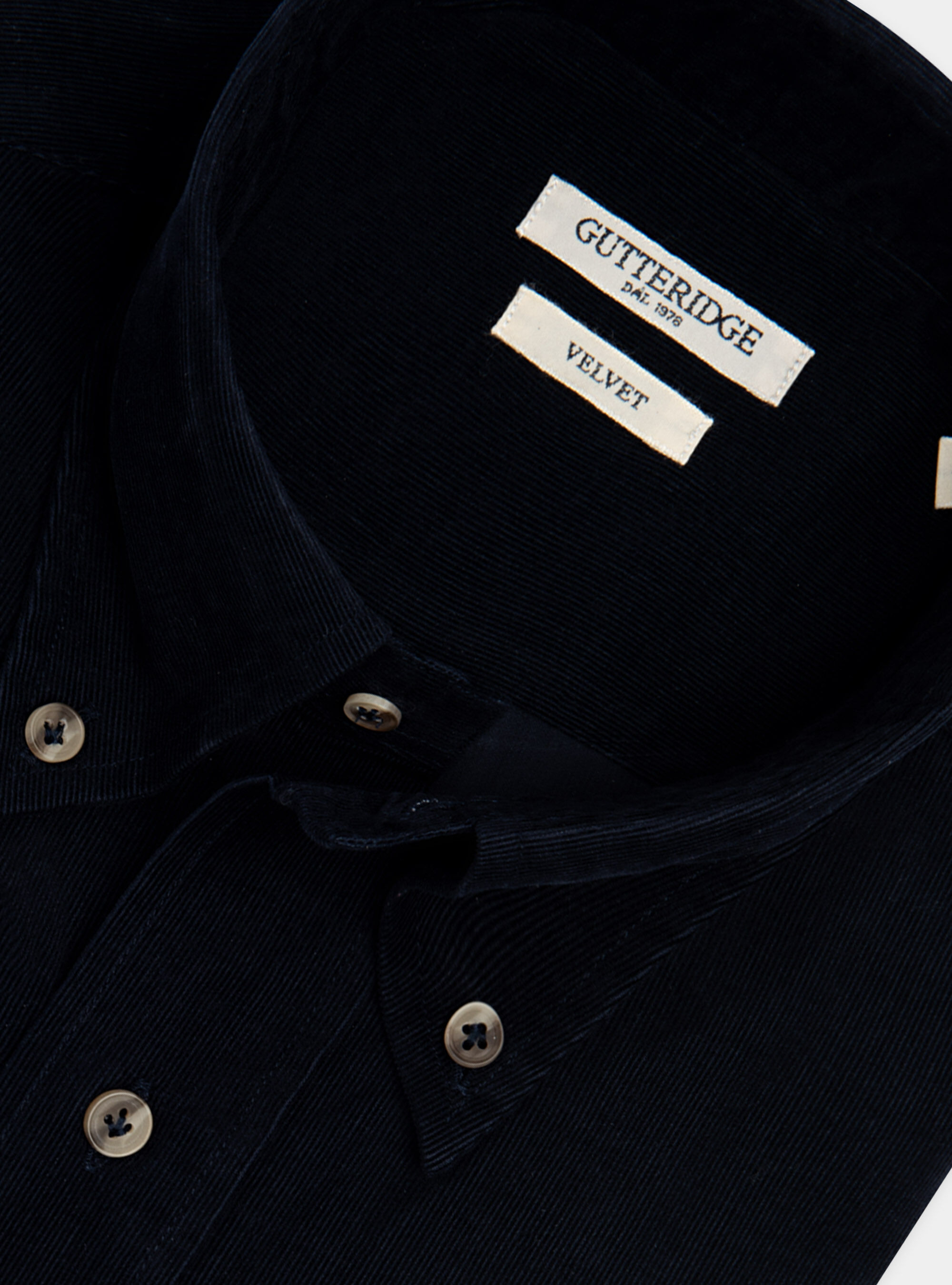 Camicia collo button down in velluto