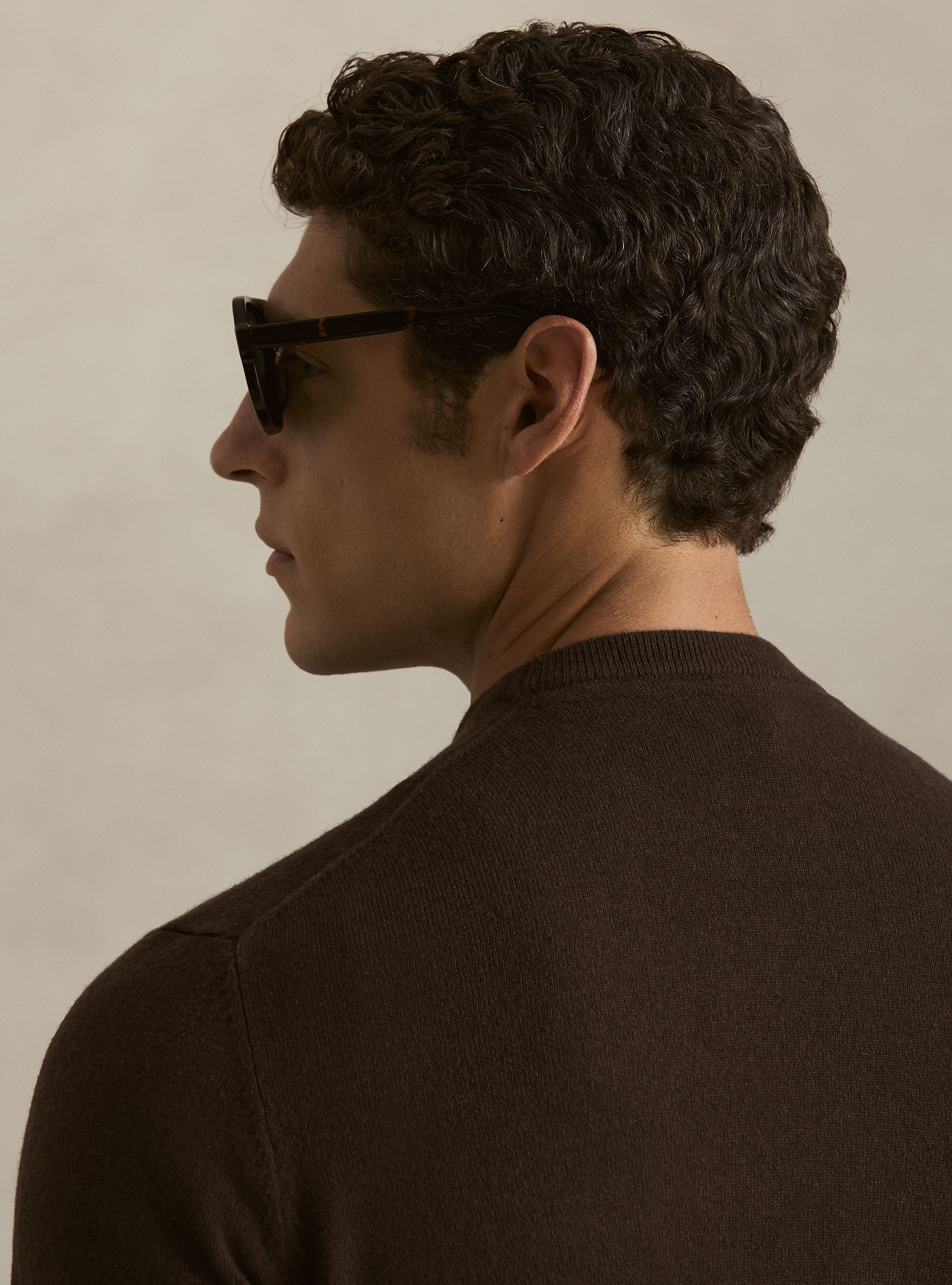 Lambswool and cashmere crewneck sweater, BROWN