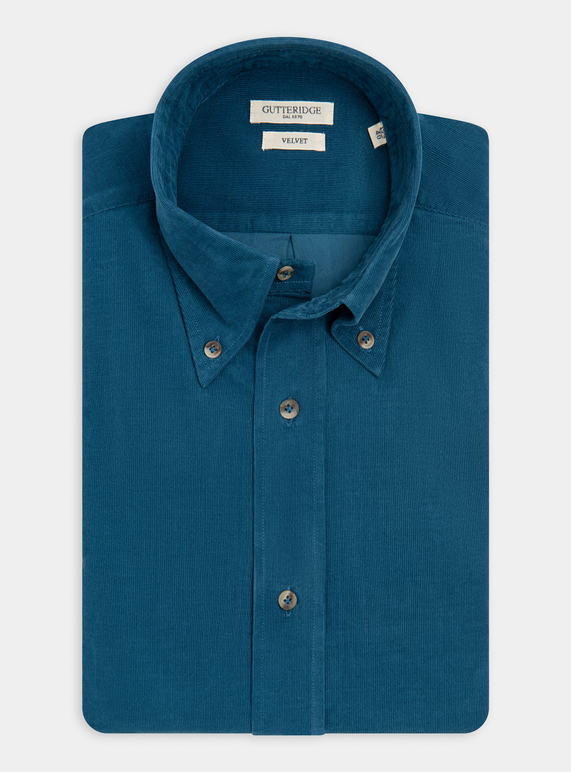 Camicia collo button down in velluto
