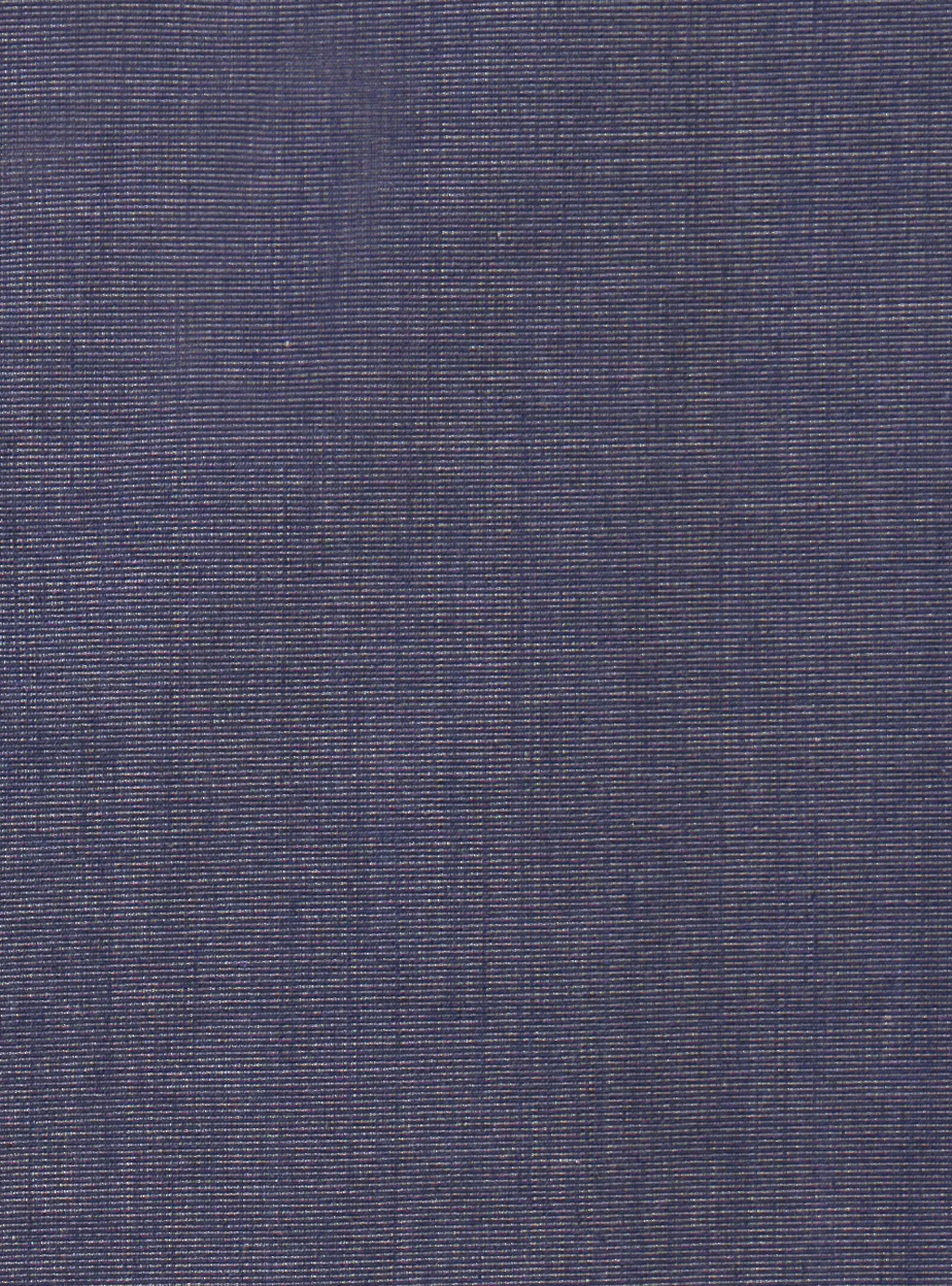 Camicia con collo francese in cotone fil a fil, BLU NAVY