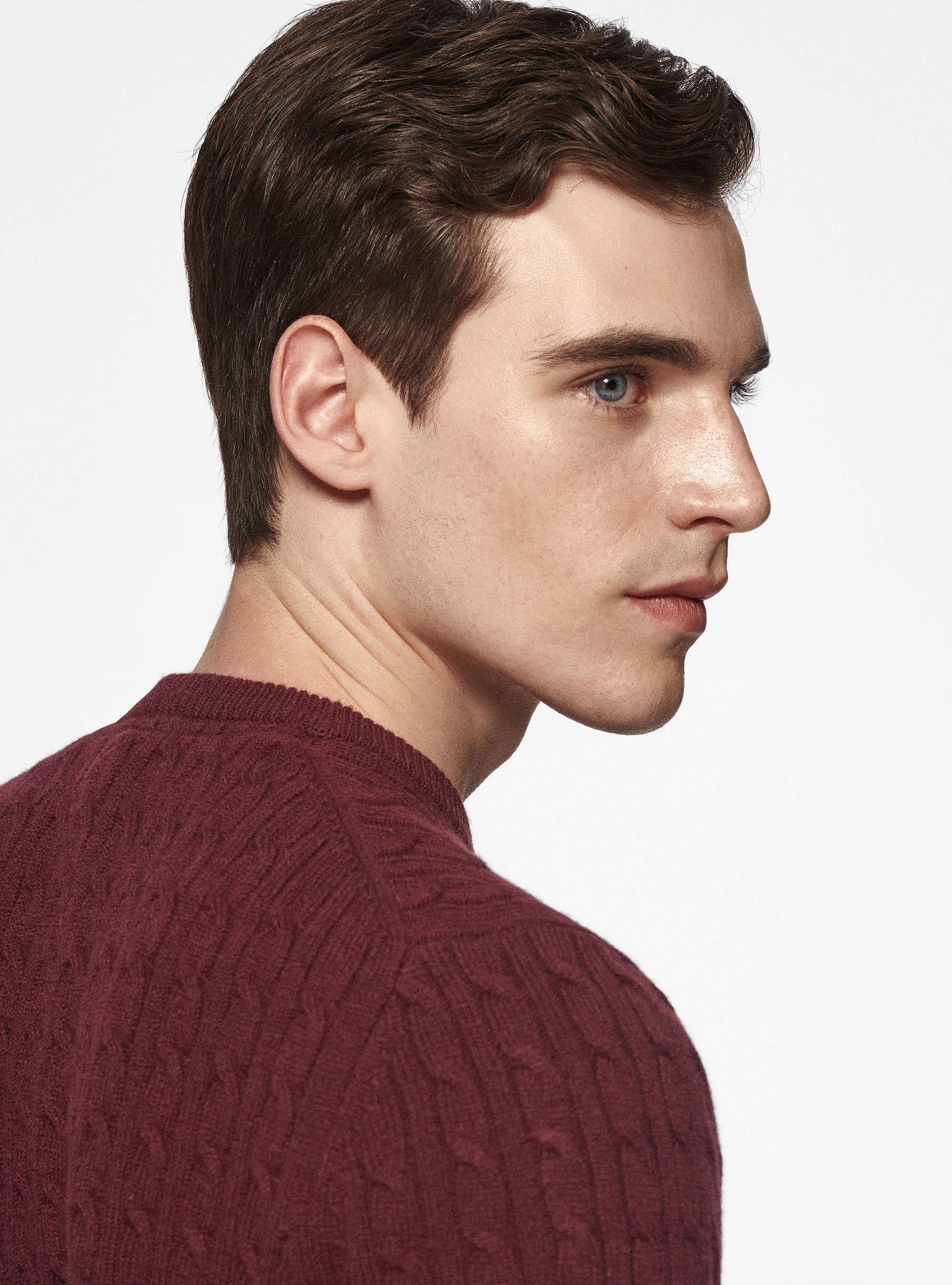 Maglia girocollo con treccia in lana e cashmere, BORDEAUX