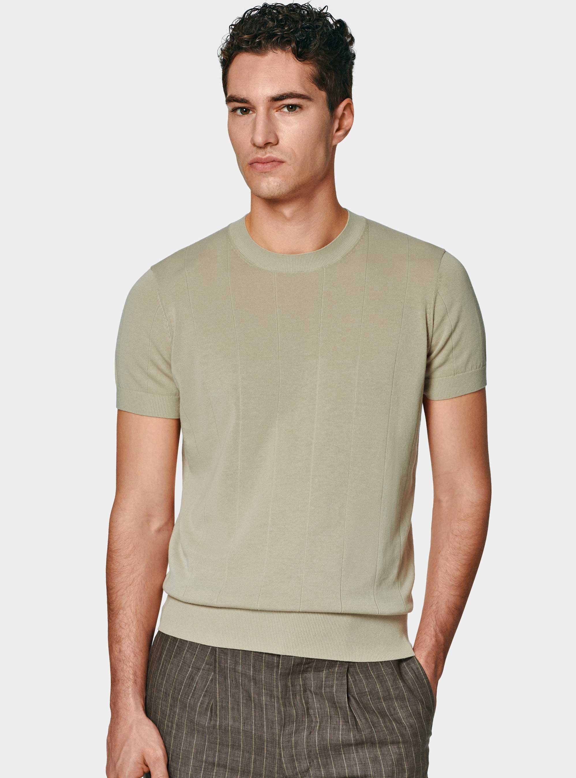 Maglia in puro cotone costa piatta, ECRU