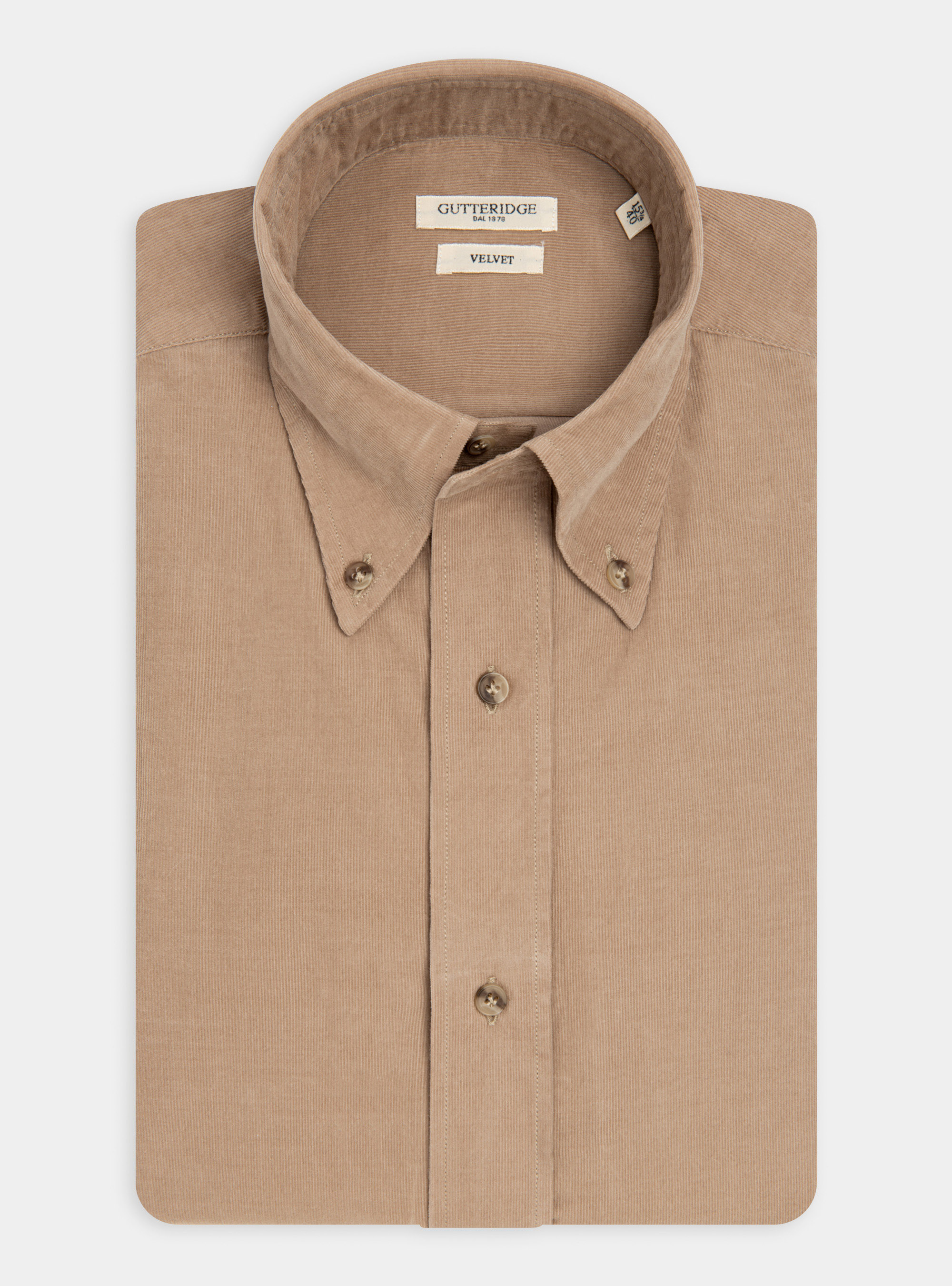 Camicia collo button down in velluto, SABBIA