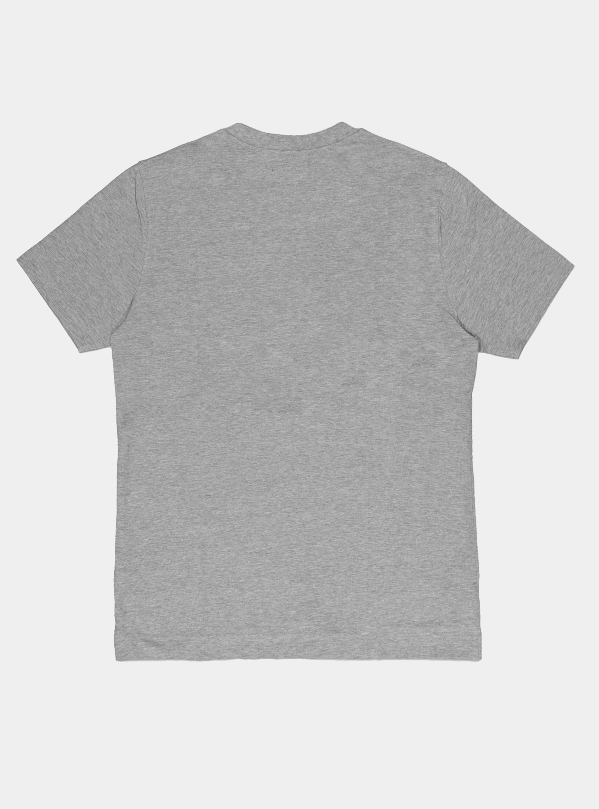 Tshirt in jersey di cotone tinta unita, GRIGIO CHIARO