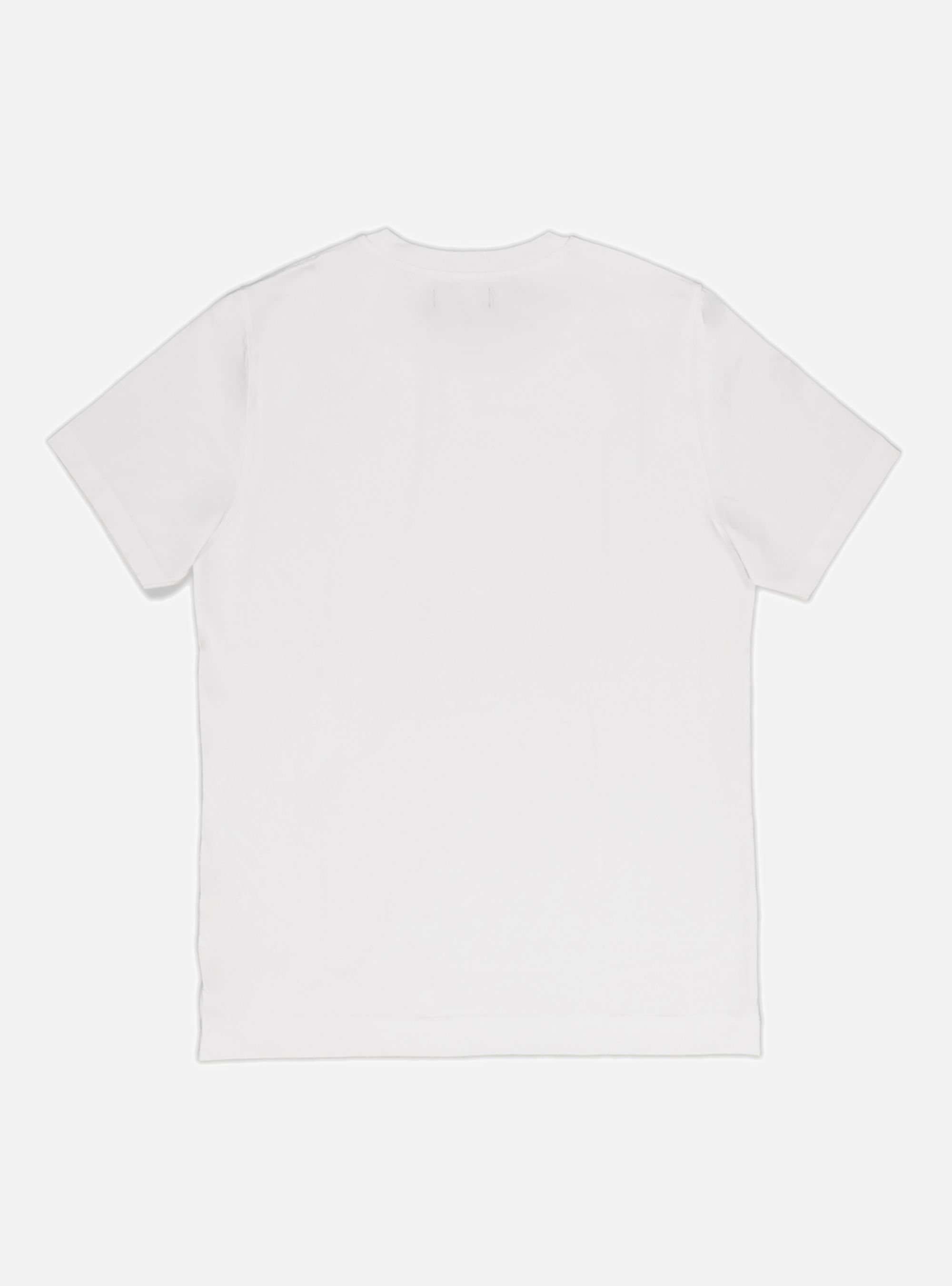 Cotton jersey half sleeve t-shirt, WHITE