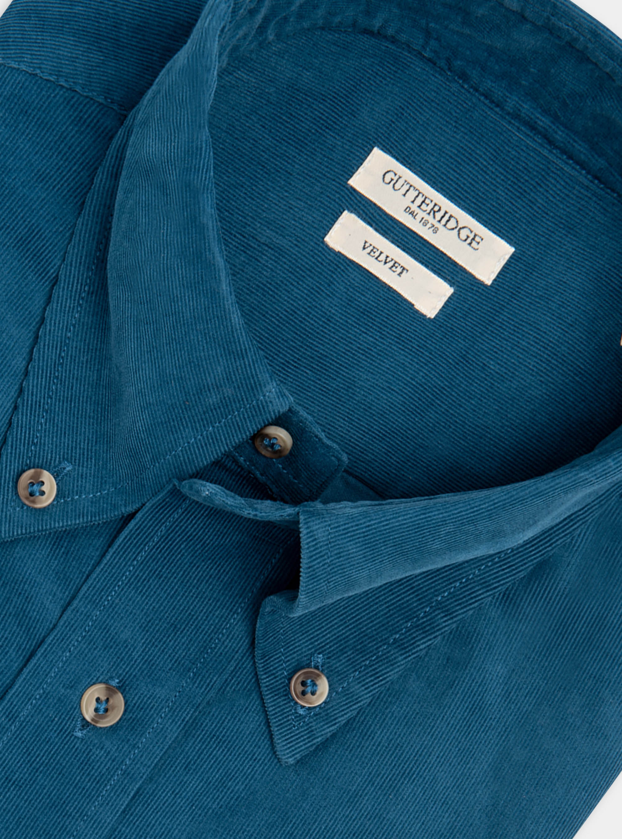 Camicia collo button down in velluto di cotone, PETROLIO