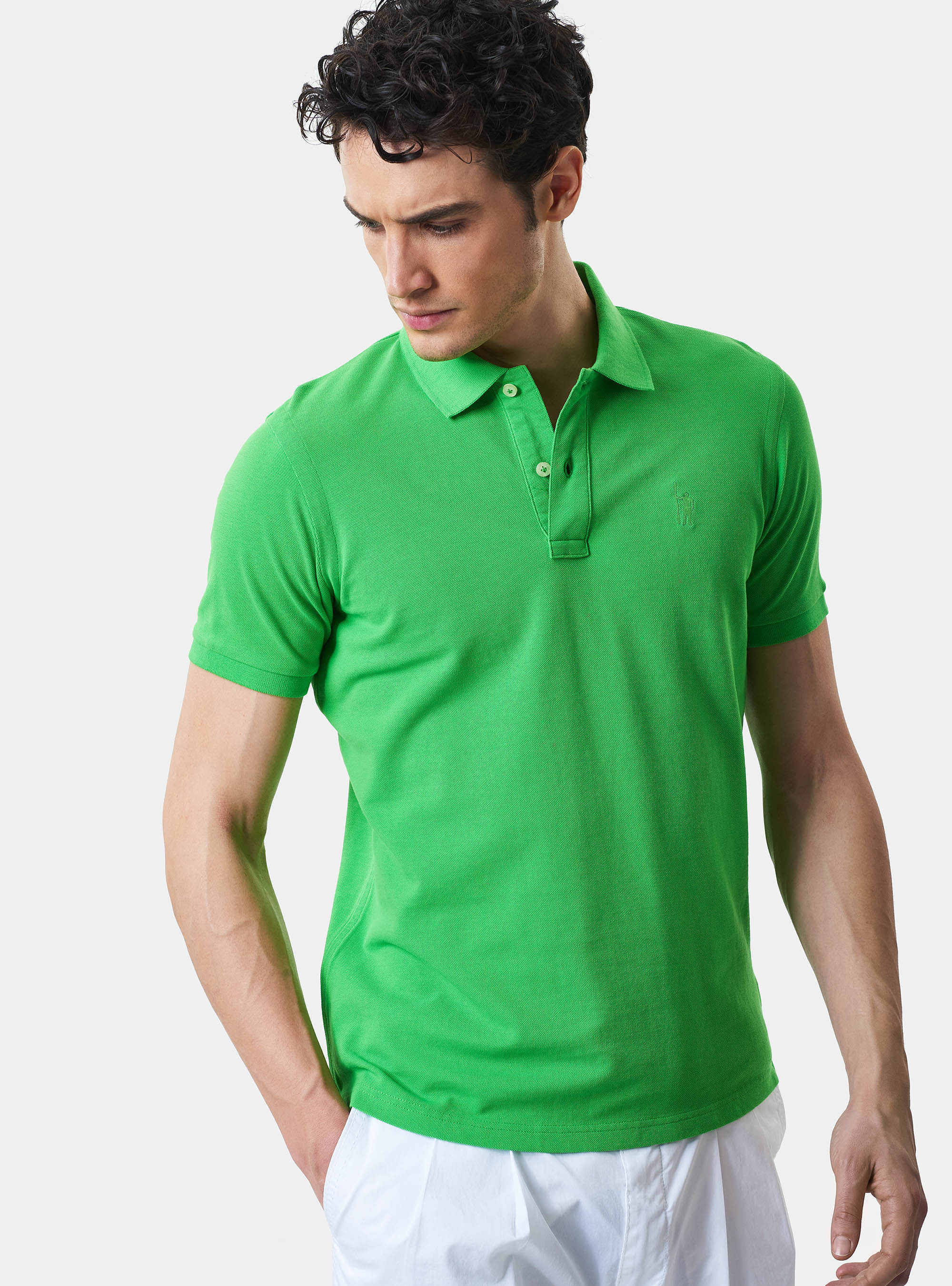 Polo classica con ricamo, VERDE 0653C