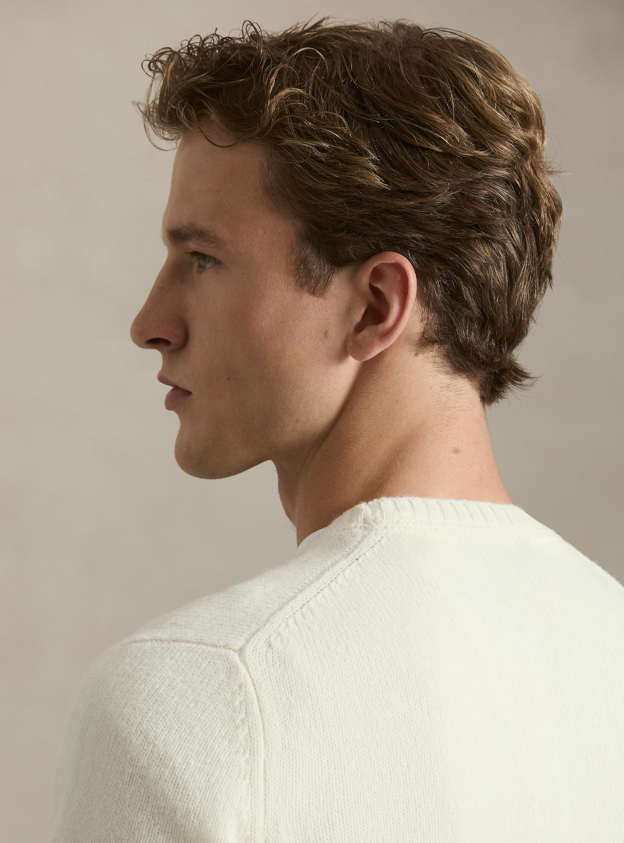 Pure Shetland wool crewneck sweater, WHITE