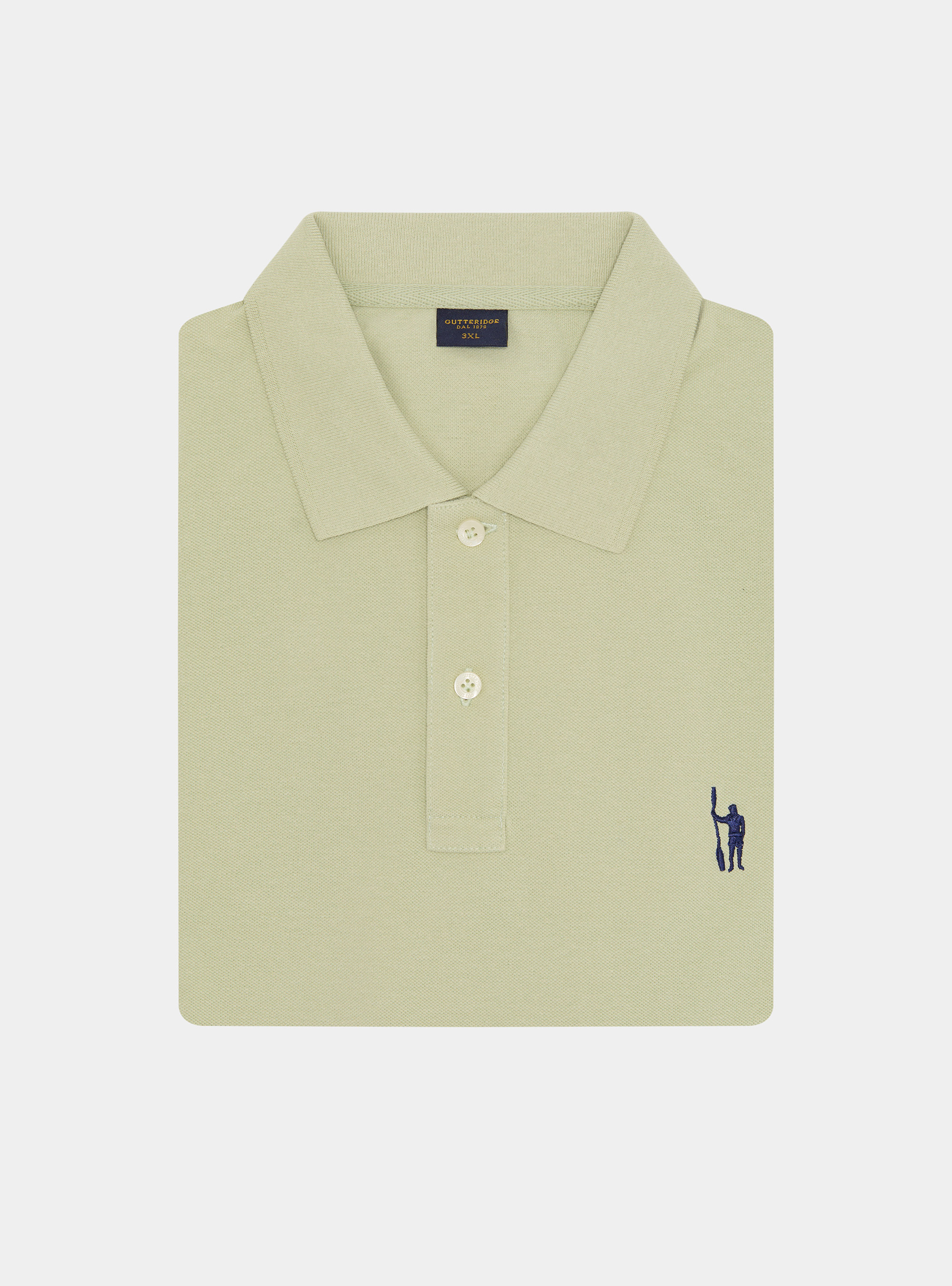 Classic piqu&eacute; polo shirt, VERDE CHIARO 0622C