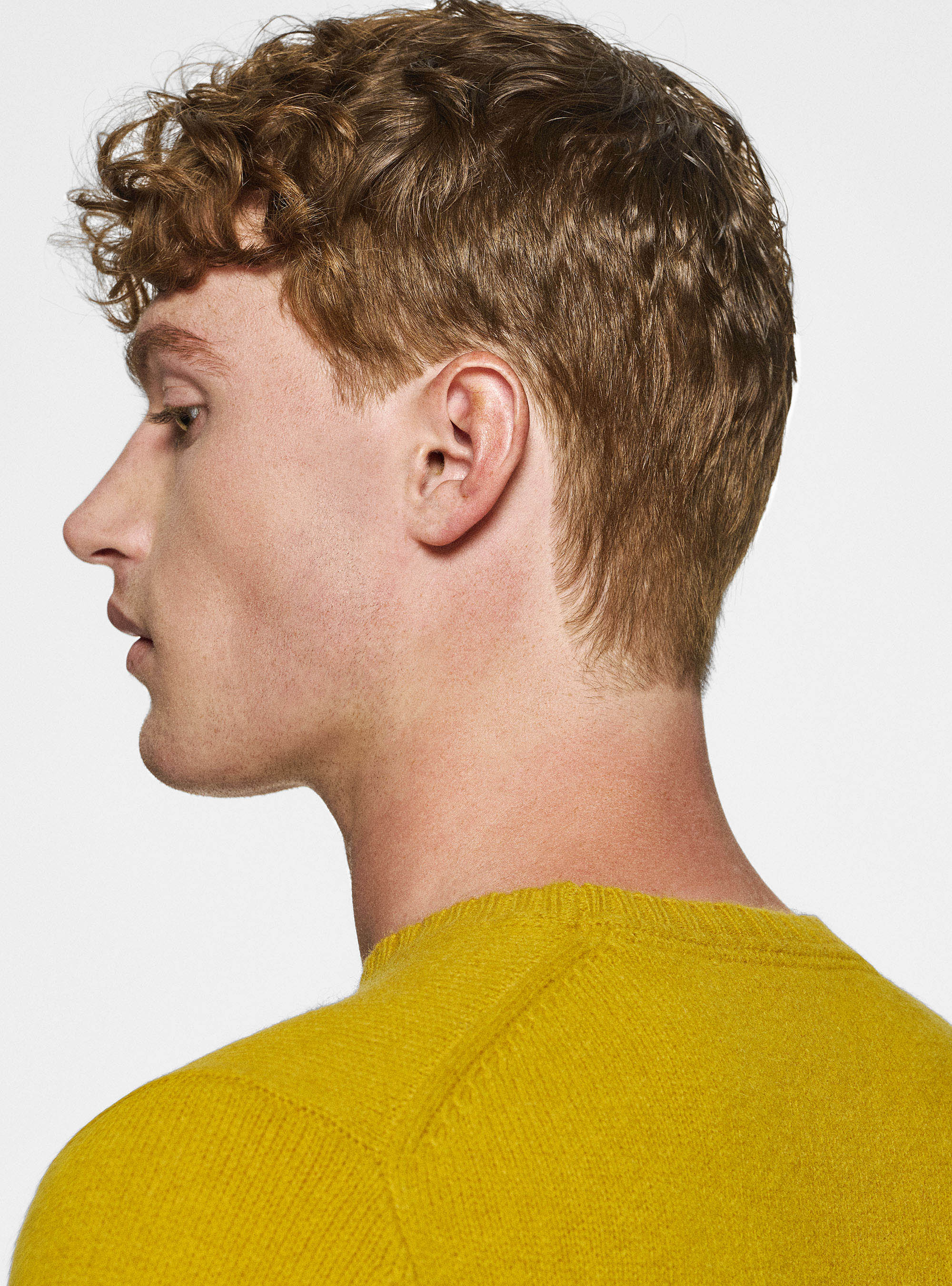 Maglia girocollo in lana shetland, SENAPE 0715C