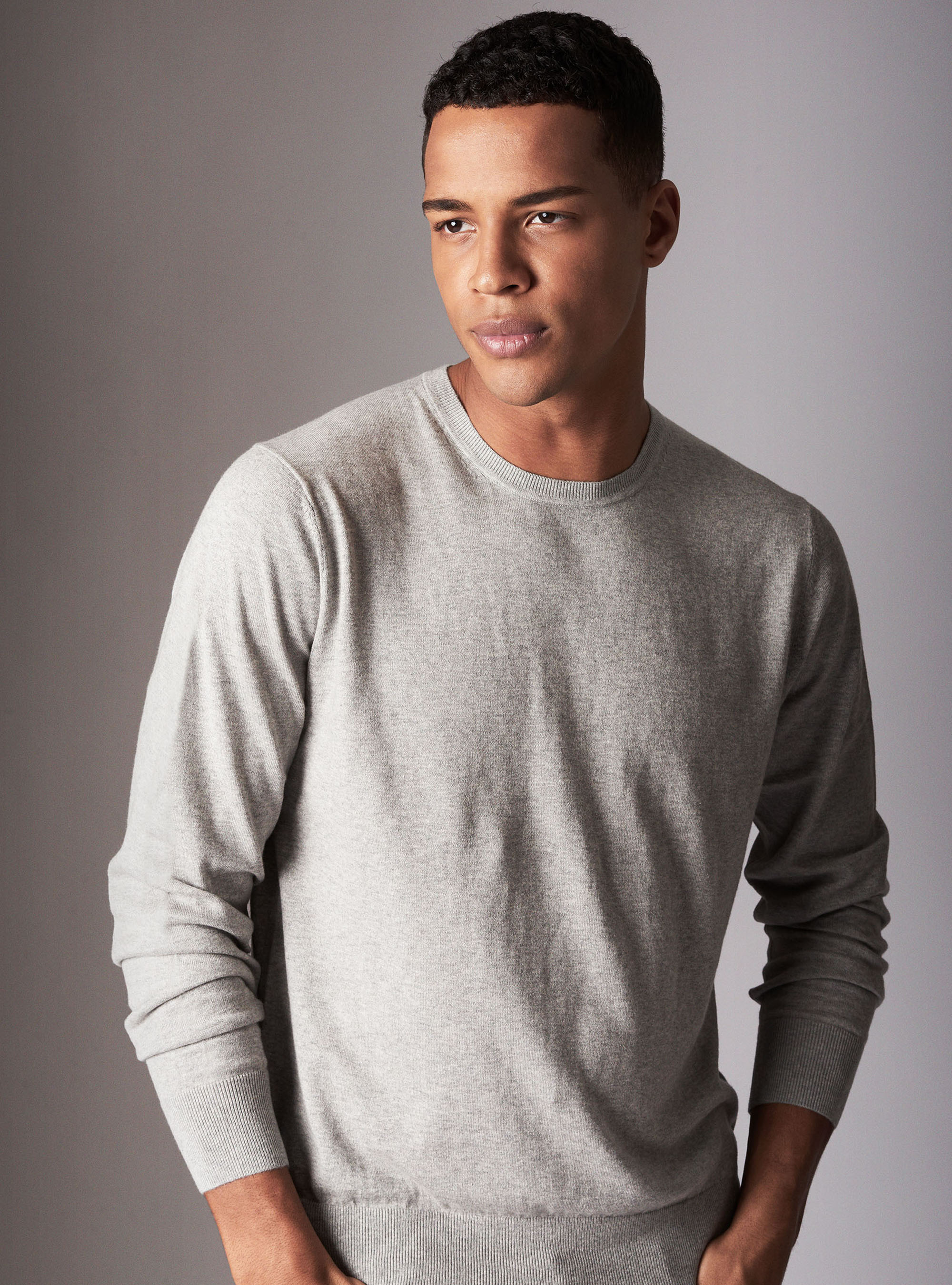 Jersey cuello redondo b&aacute;sico en algod&oacute;n seda cashmere, GRIS CLARO JASPEADO