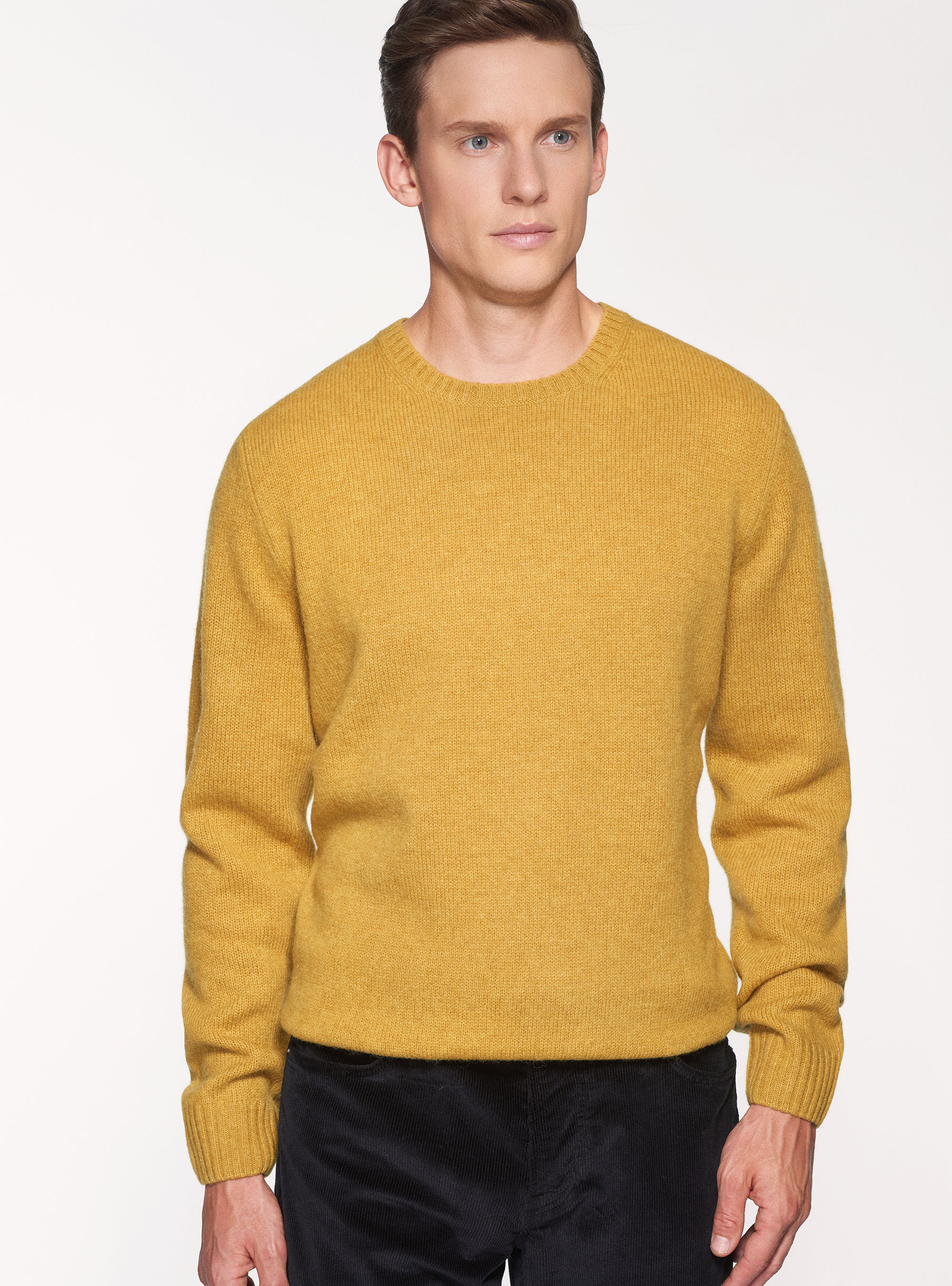 Maglia girocollo in pura lana shetland, SENAPE 0715C