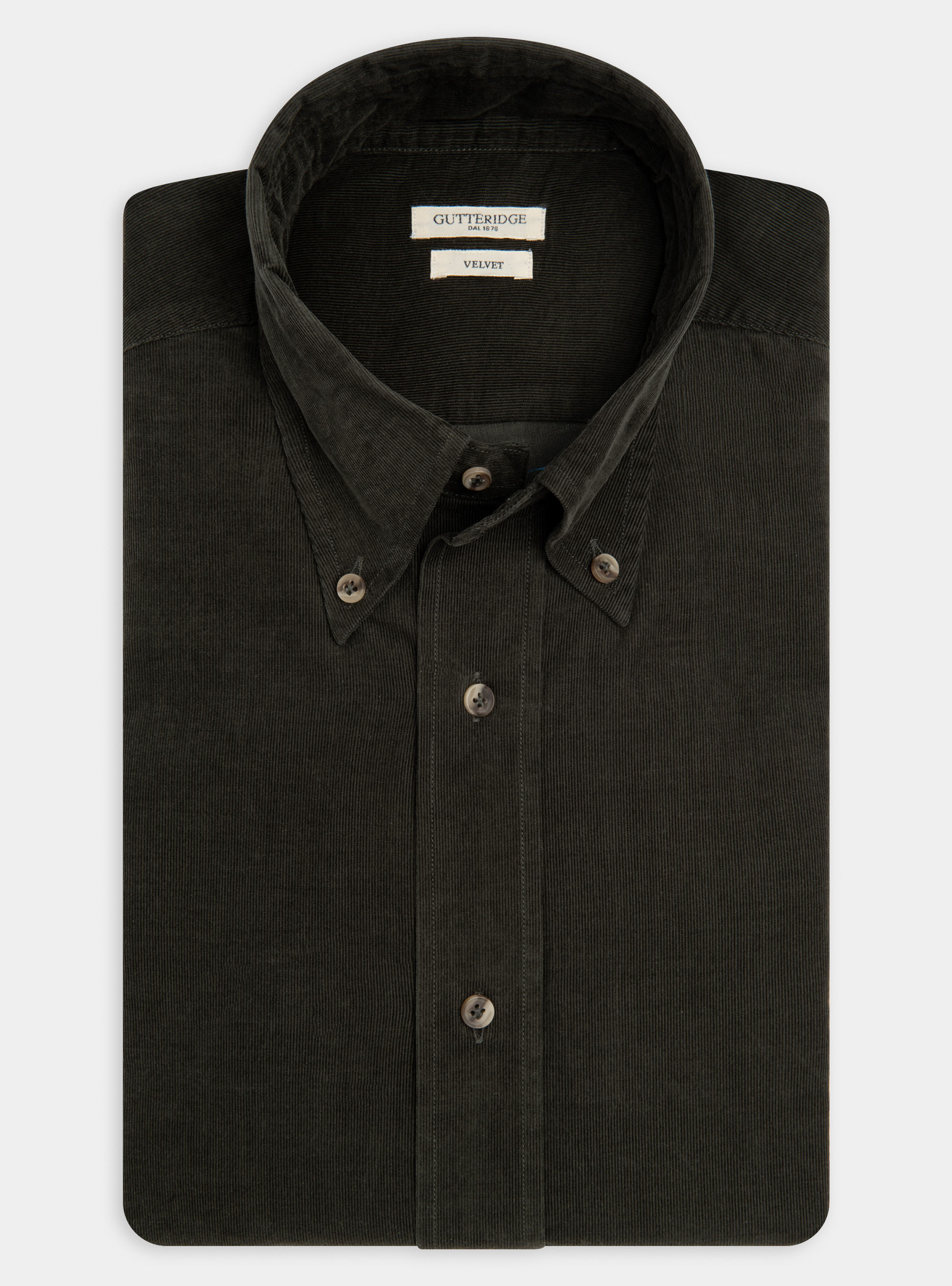 Camicia collo button down in velluto