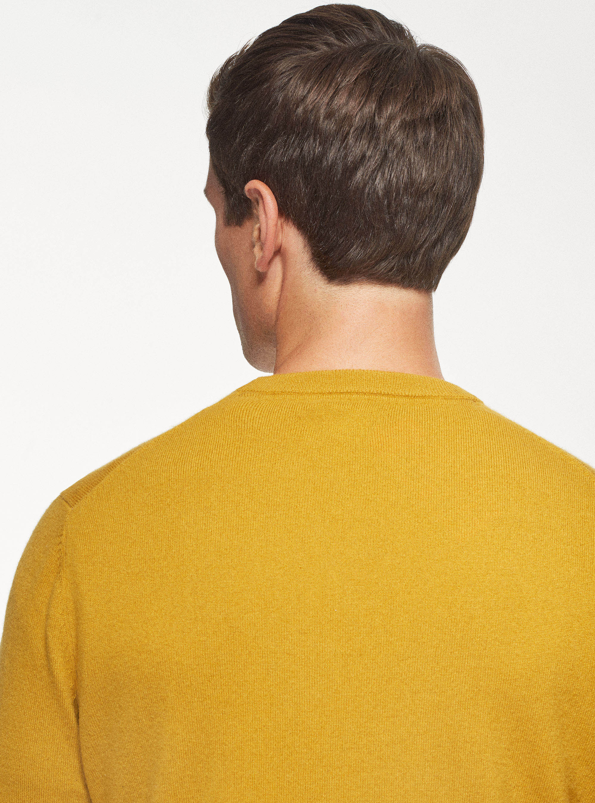 Pull &agrave; col ras du cou en pur cachemire, SENAPE 0715C