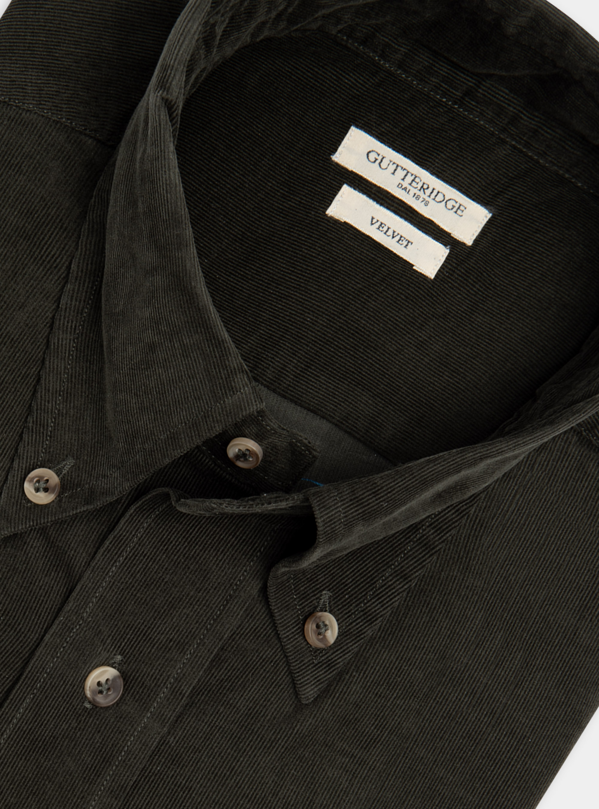 Camicia collo button down in velluto, MILITARE 0609C