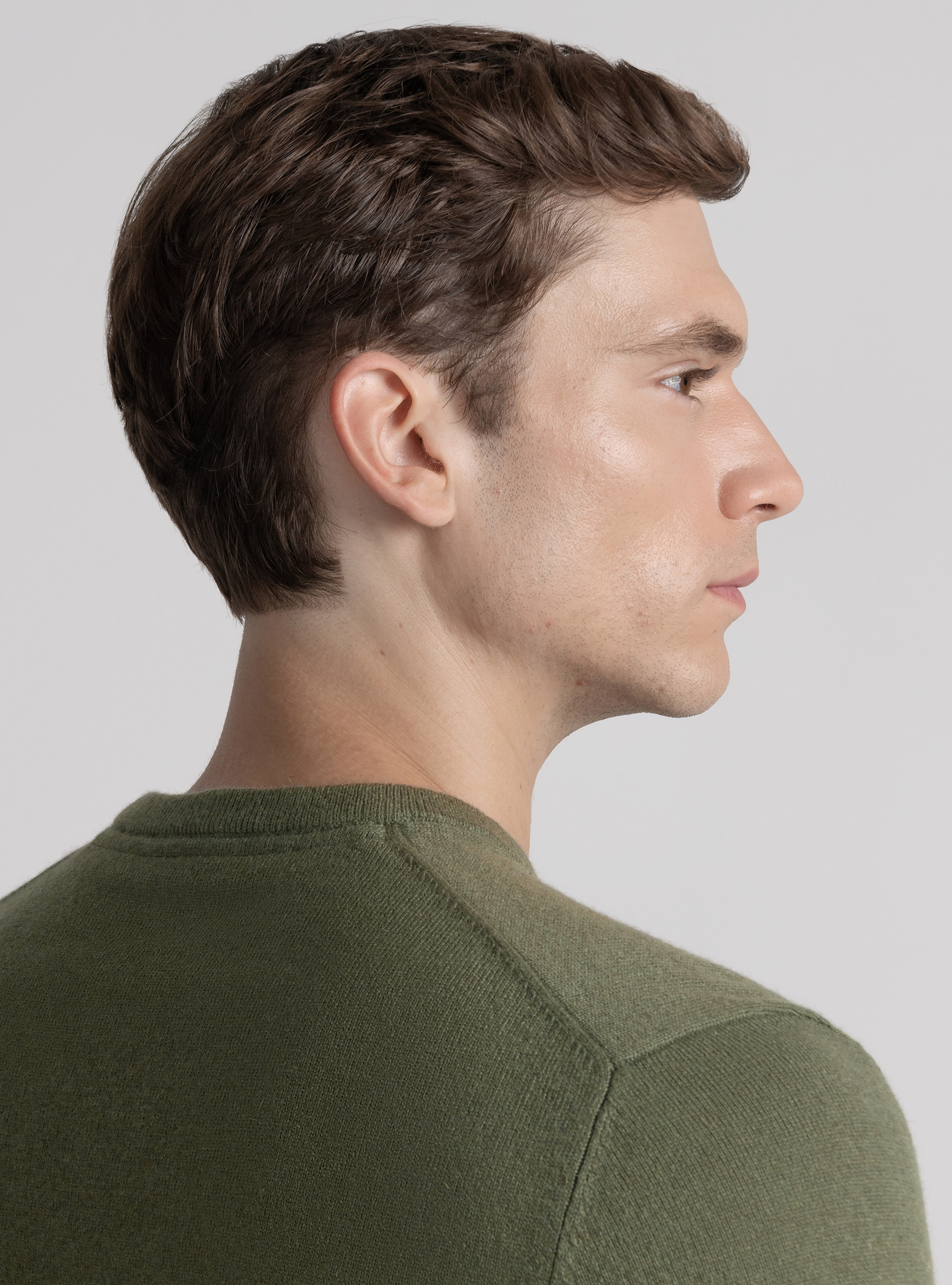 Tricot à col ras du cou en cachemire, SALVIA 0602C