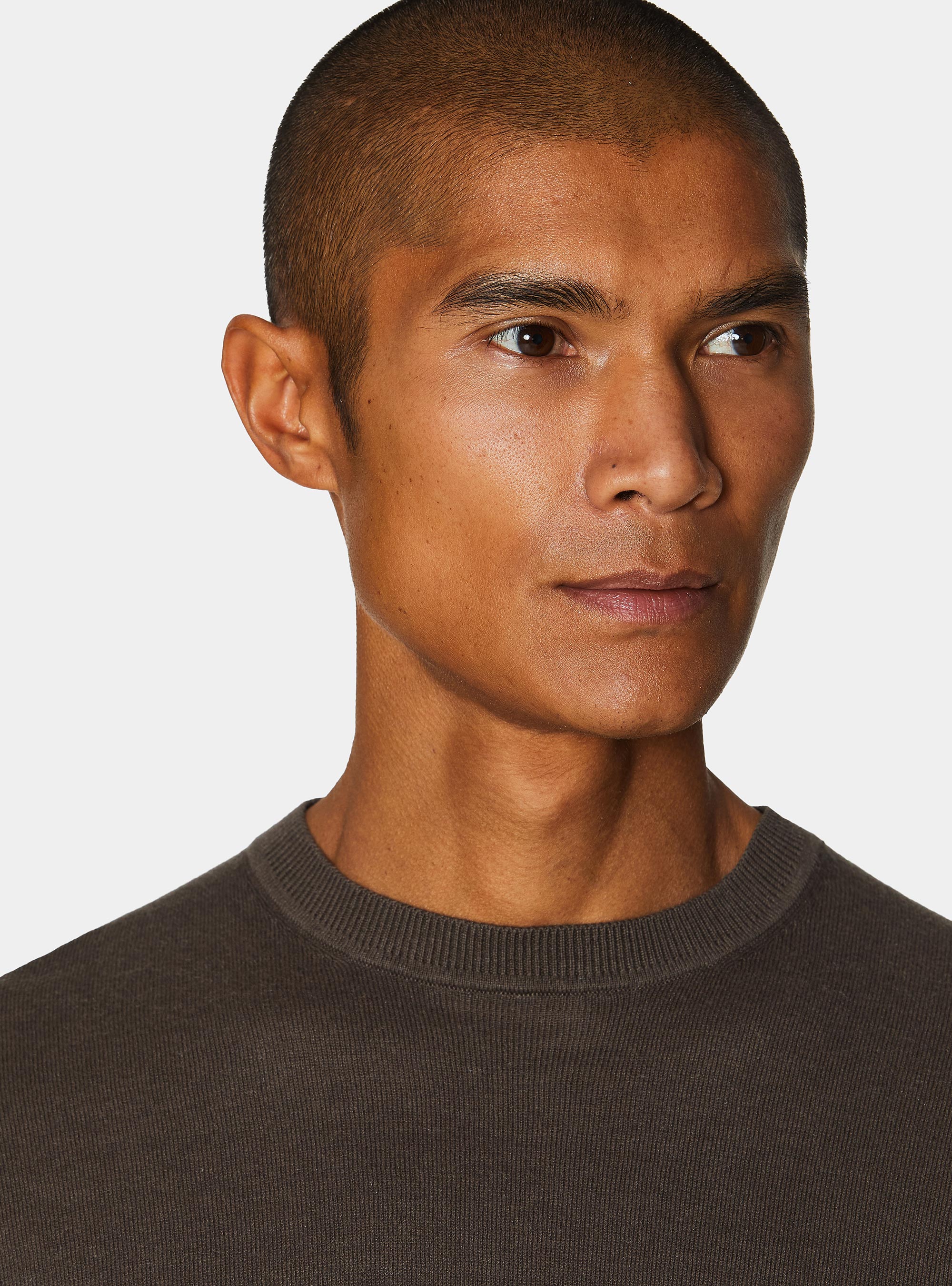 Maglia girocollo in cotone seta e cashmere, BROWN