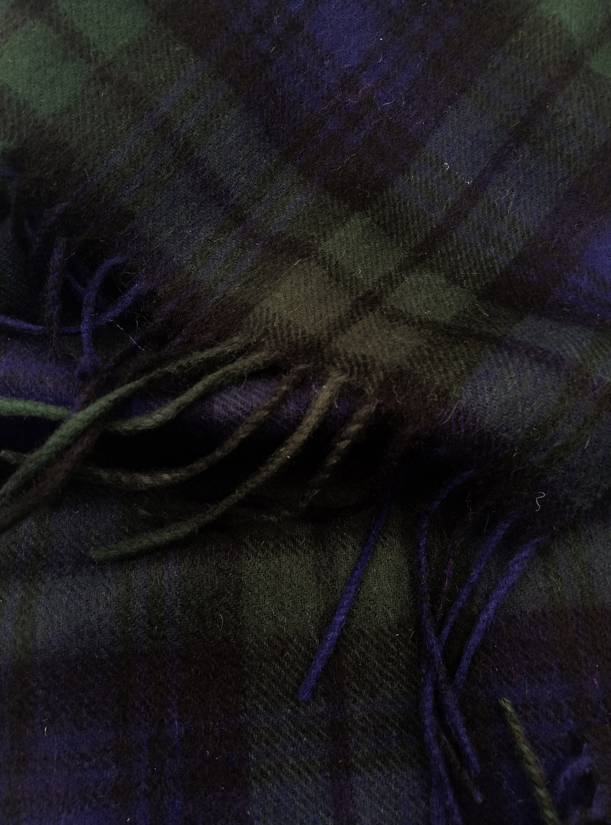 Checked wool and cashmere scarf, GREEN