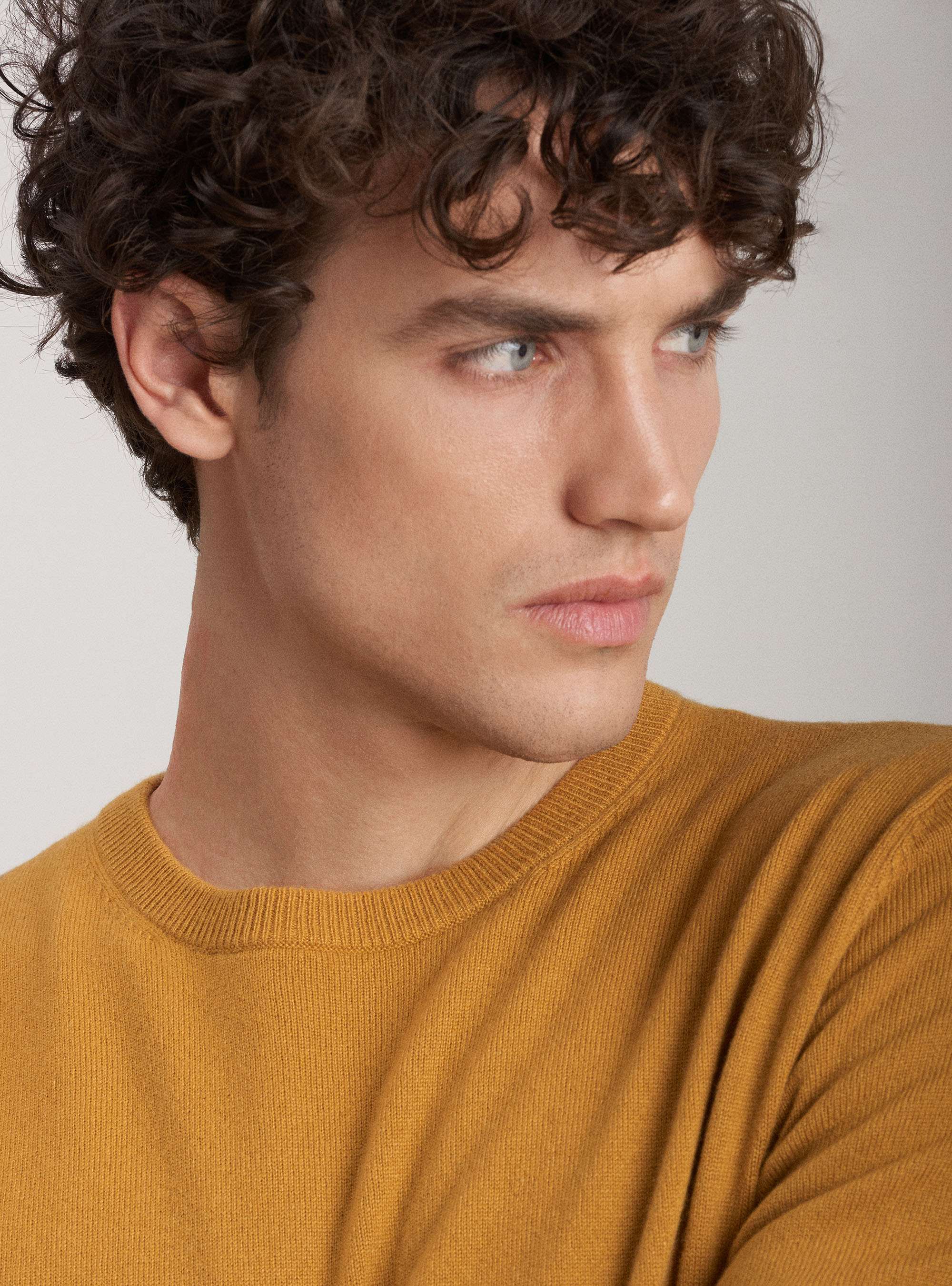 100% cashmere round neck sweater, SENAPE 0715C