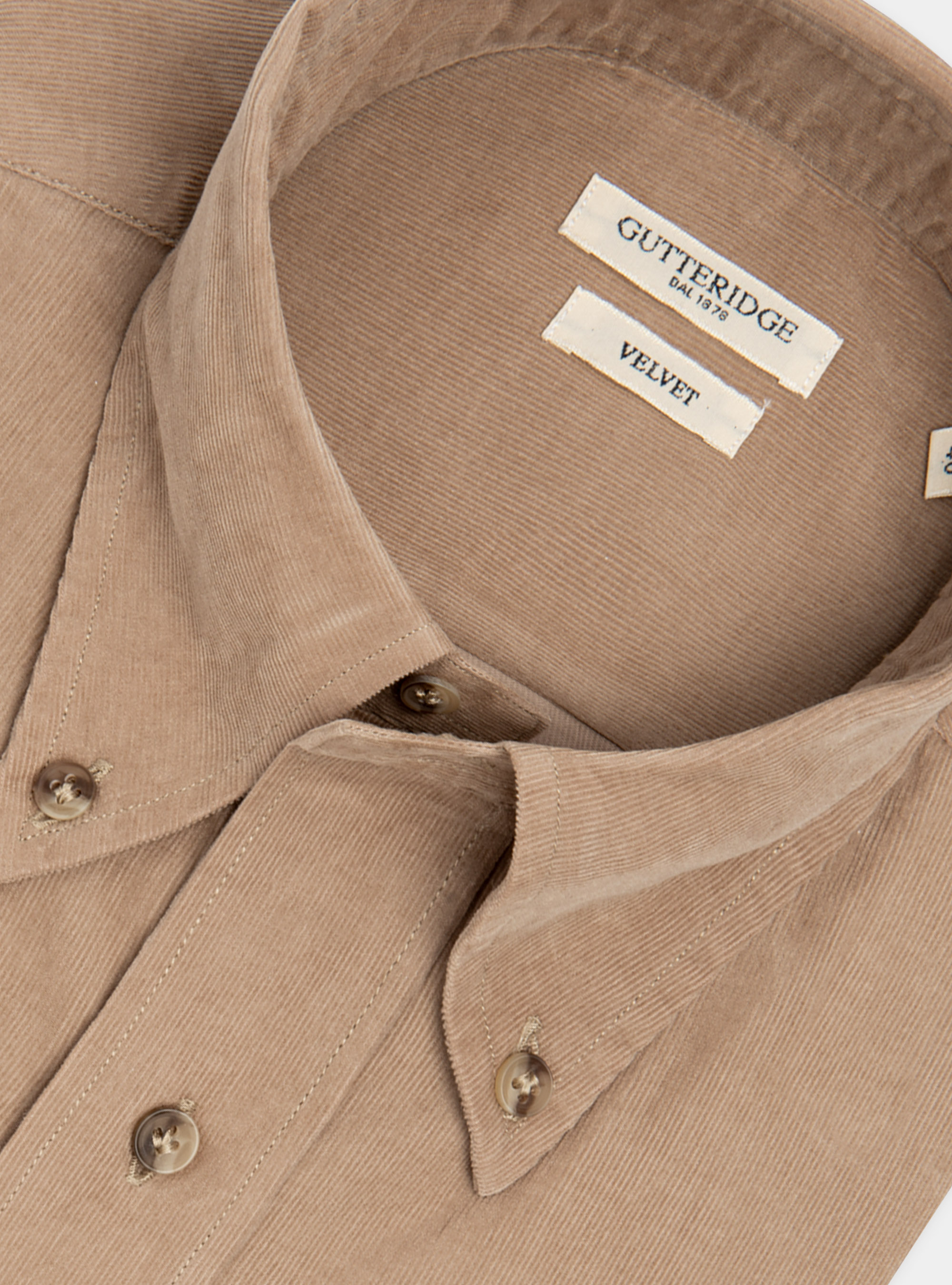 Camicia collo button down in velluto, SABBIA