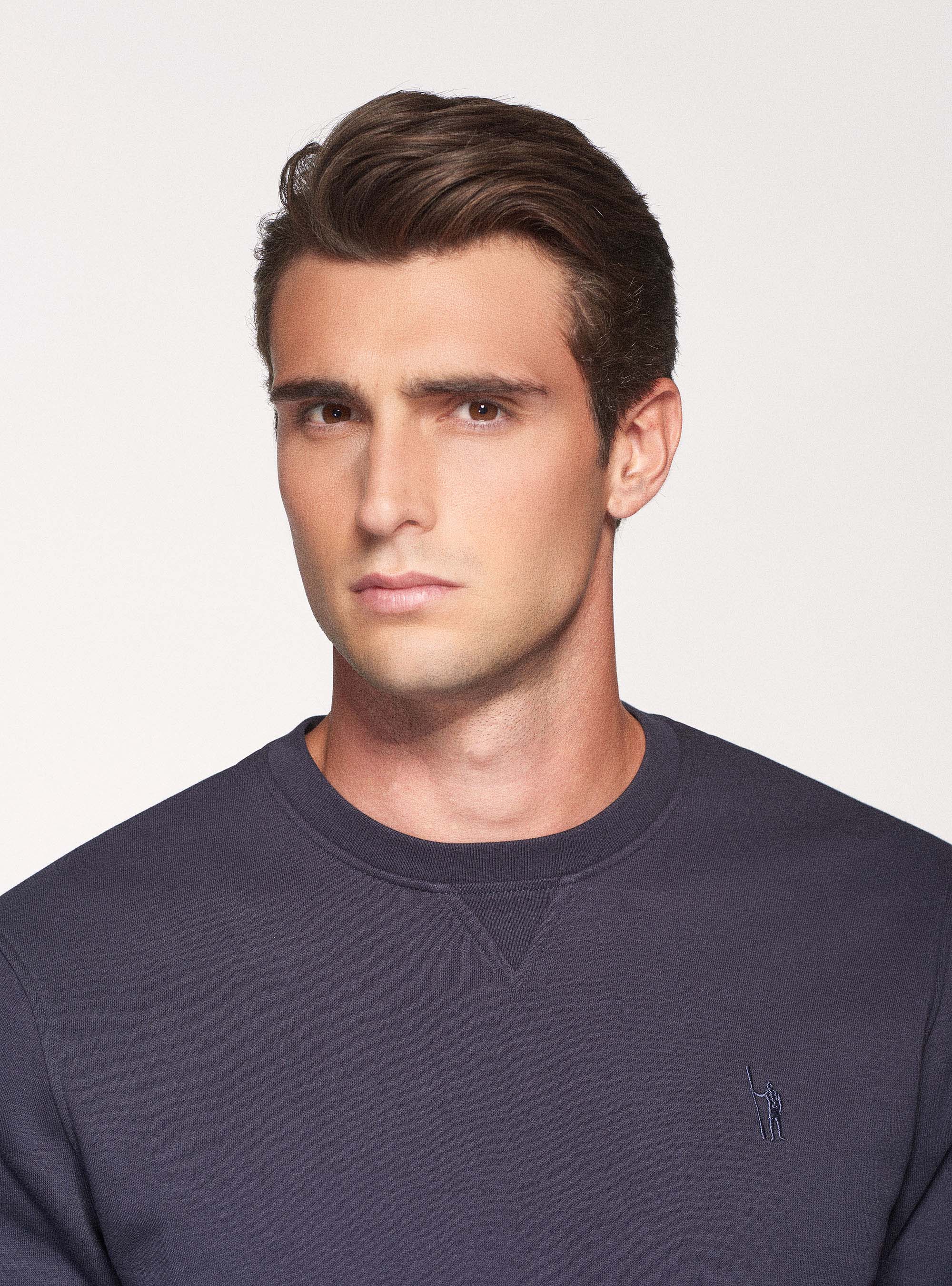 Felpa girocollo in misto cotone, BLU NAVY