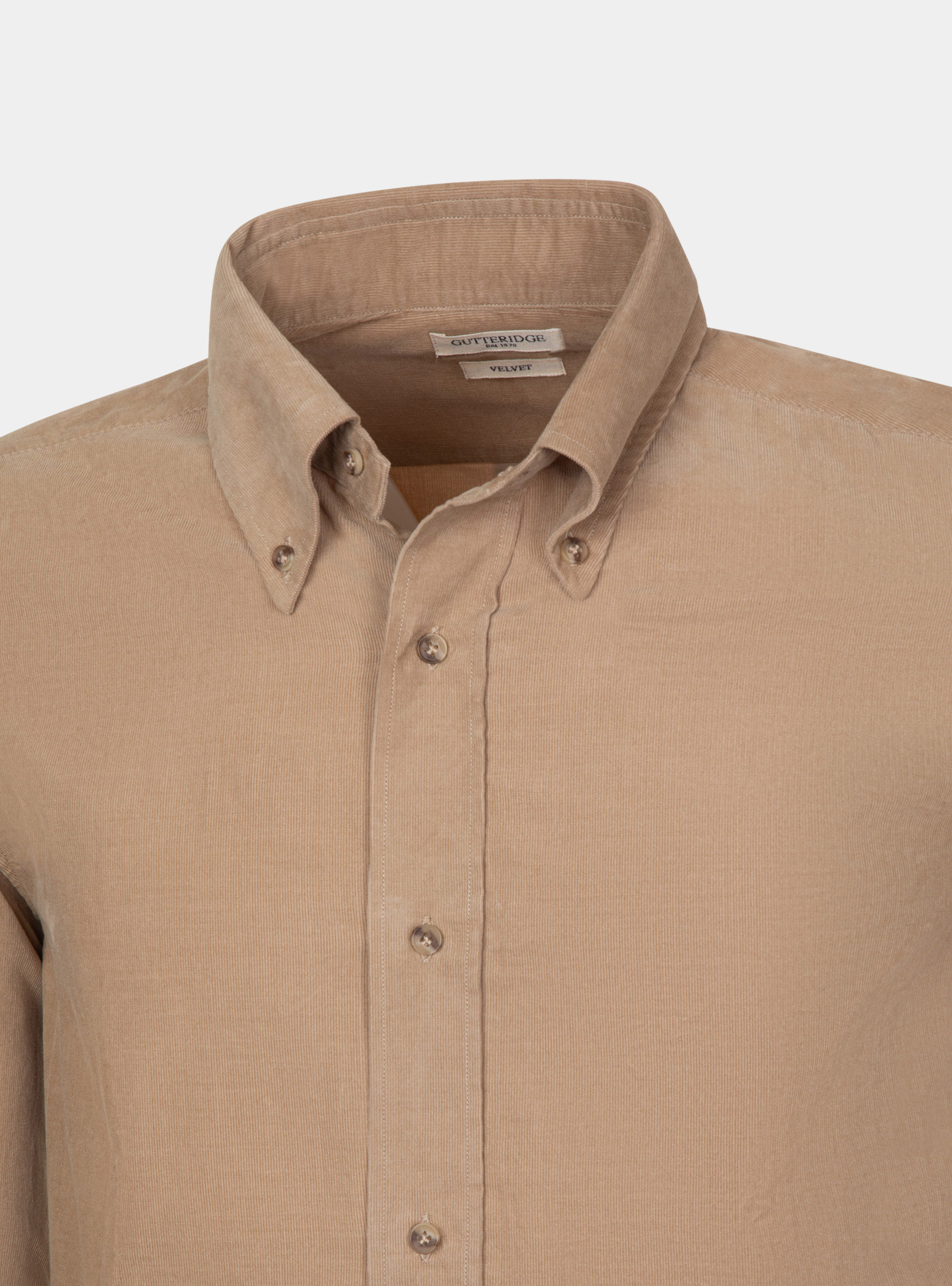 Camicia collo button down in velluto, SABBIA