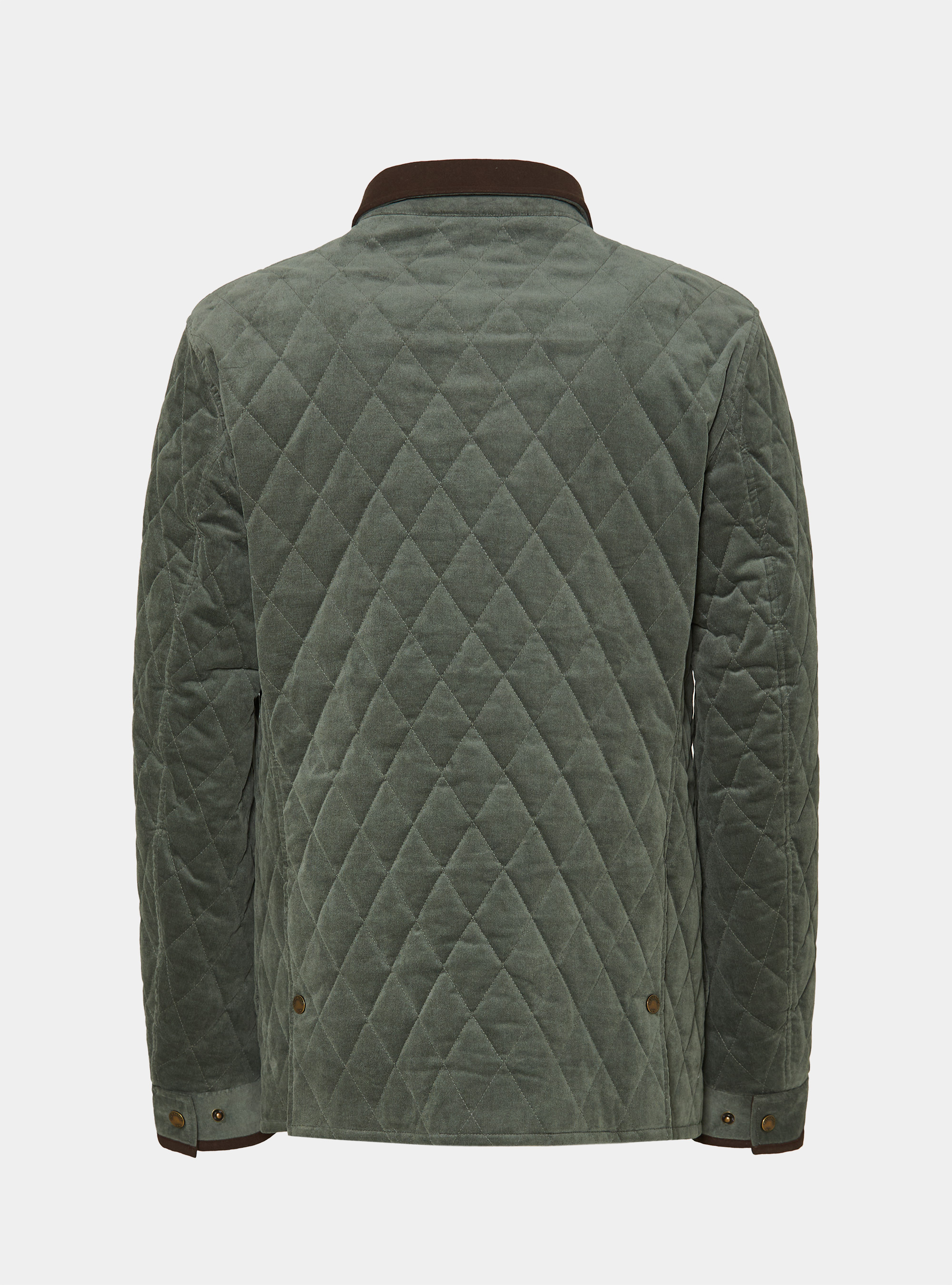 Chaqueta de terciopelo para spiller, SALVIA 0602C