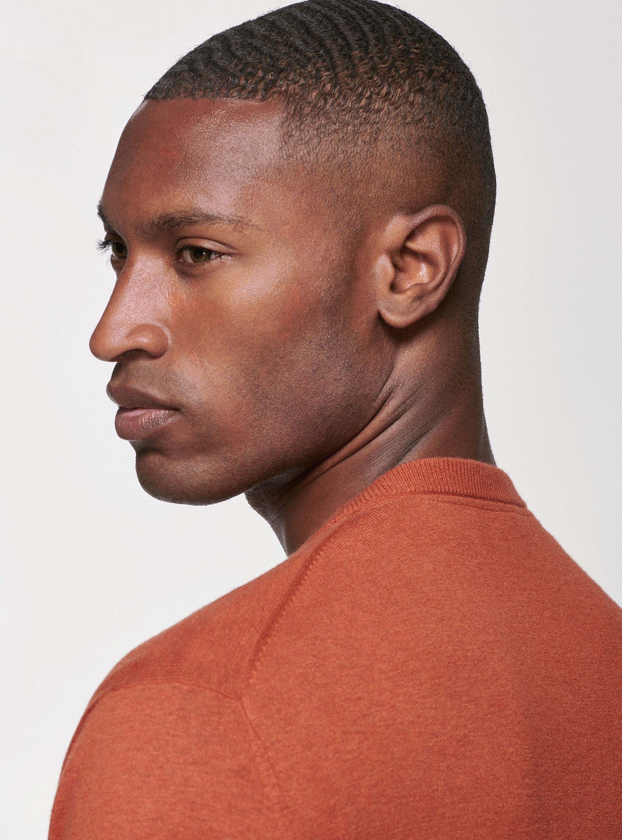 Maglia girocollo in cotone seta e cashmere, COCCIO