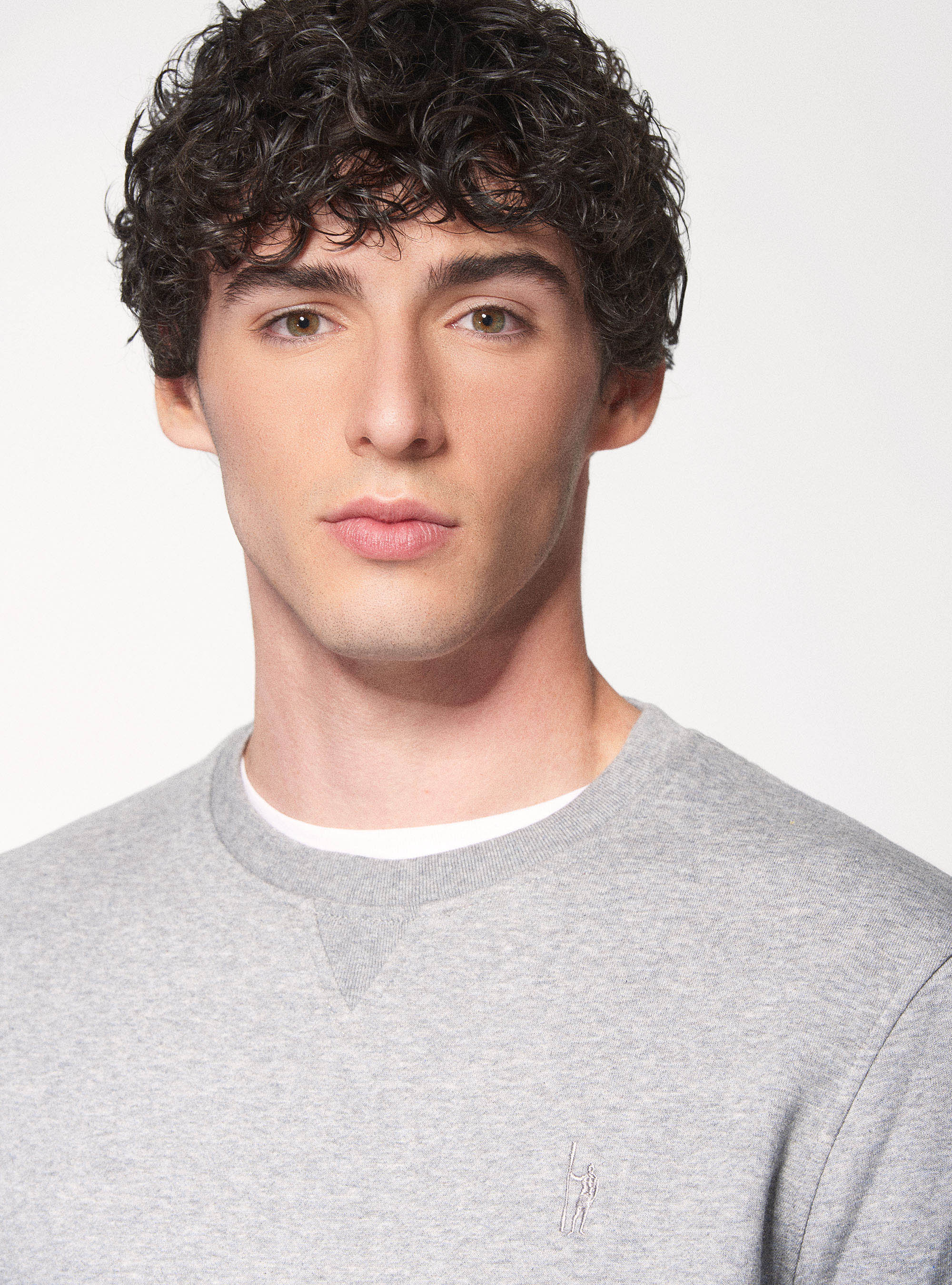 Felpa girocollo in misto cotone, GRIGIO CHIARO MELANGE