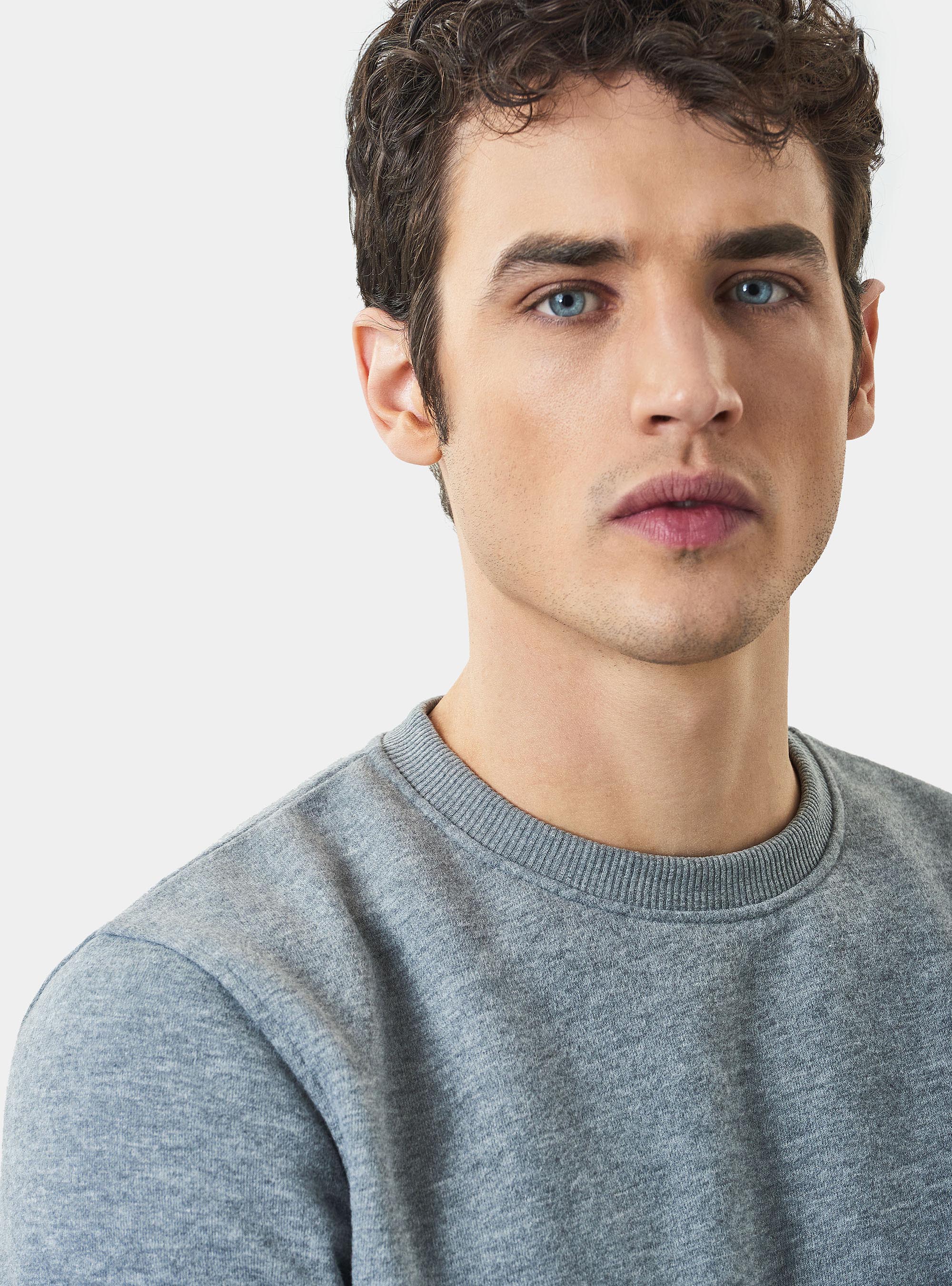 Felpa girocollo in misto cotone, GRIGIO CHIARO