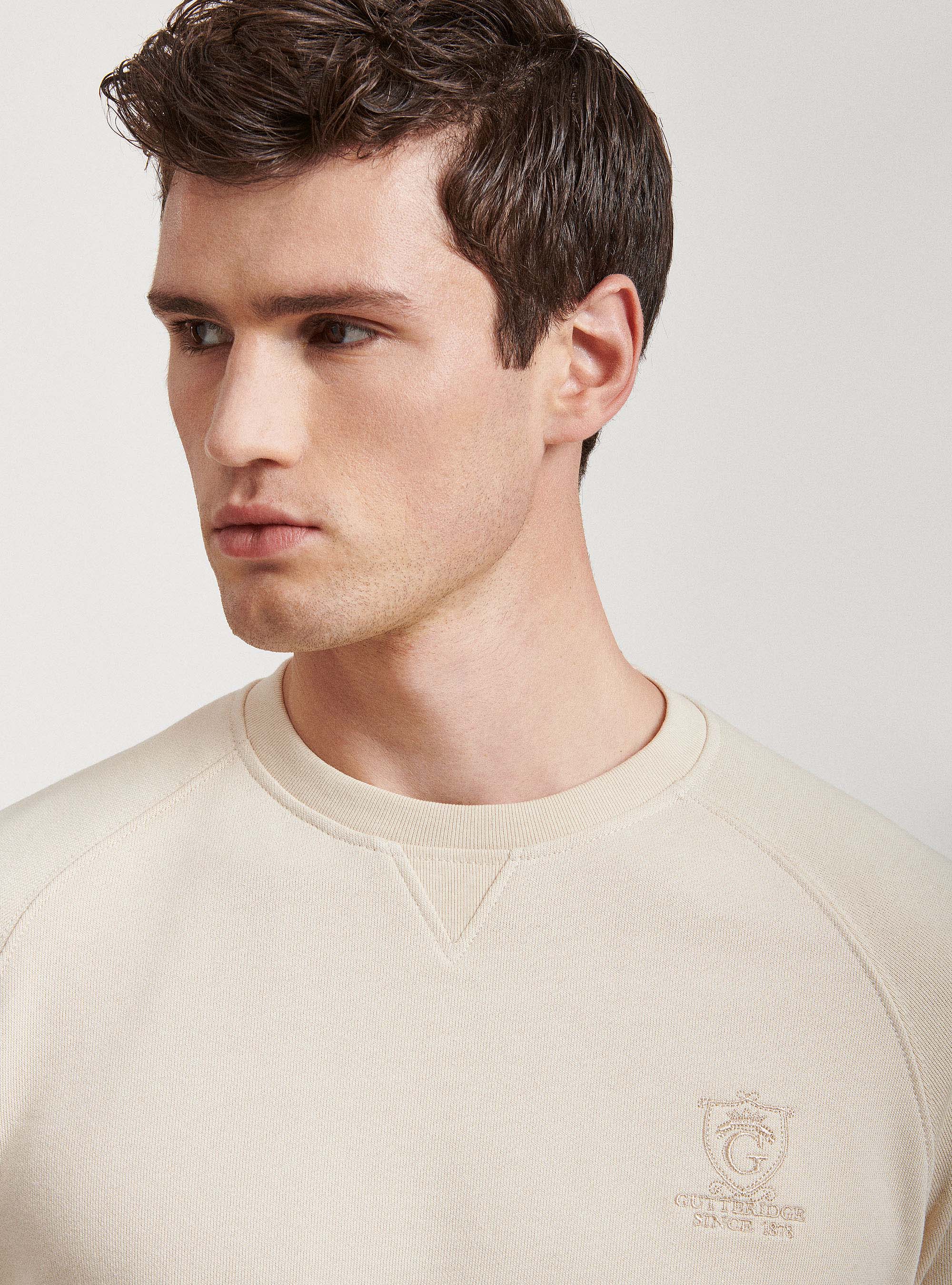 Unifarbenes Sweatshirt, ECRU 0560C