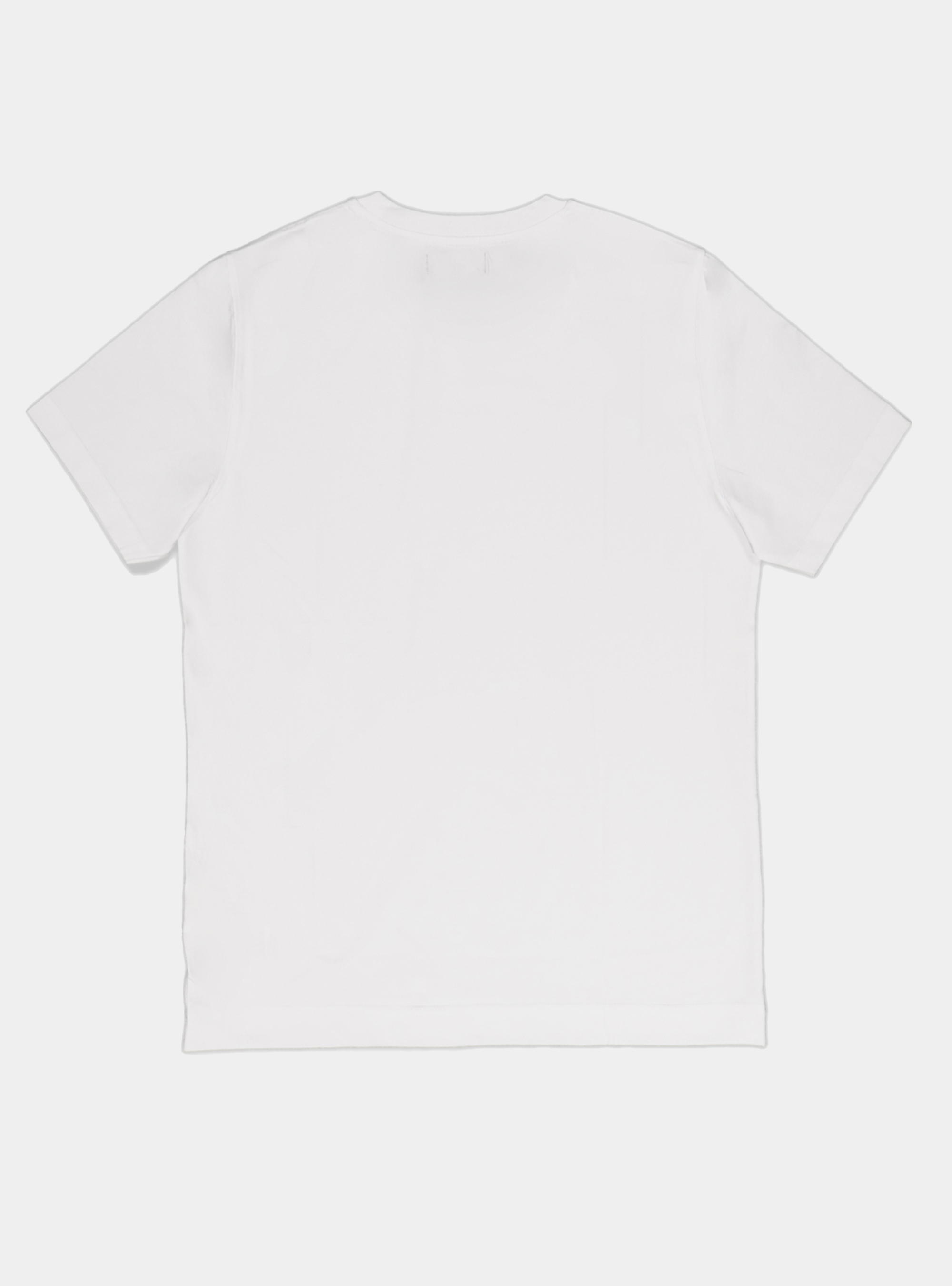 Tshirt in jersey di cotone tinta unita, BLANCO