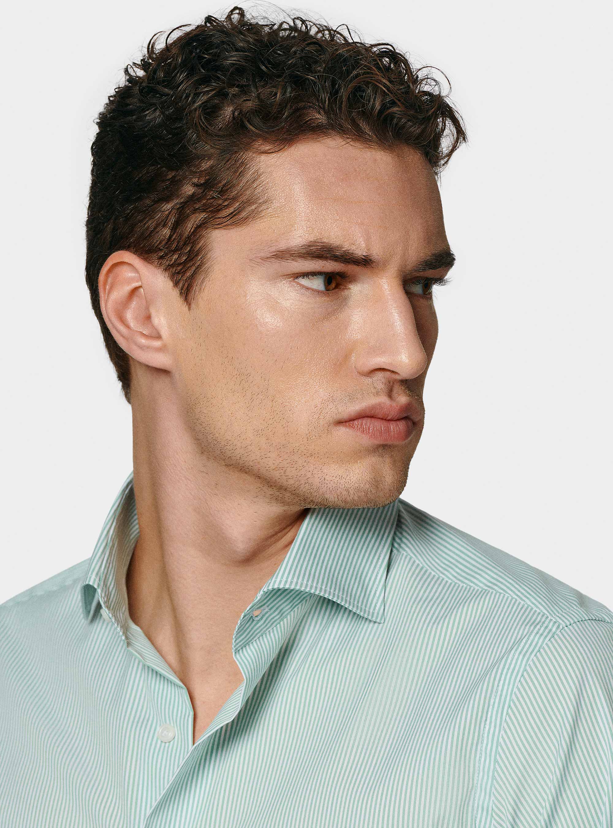 Chemise à rayures en popeline stretch, SALVIA 0602C