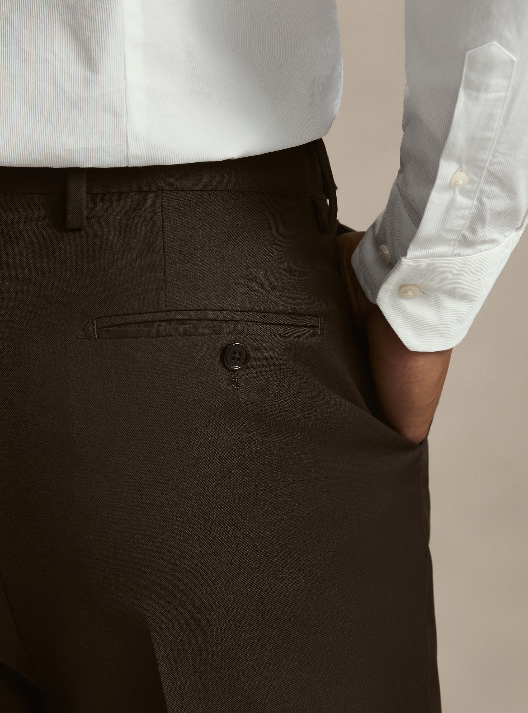 Vitale Barberis Canonico wool pleated trousers, MARRONE 0508C