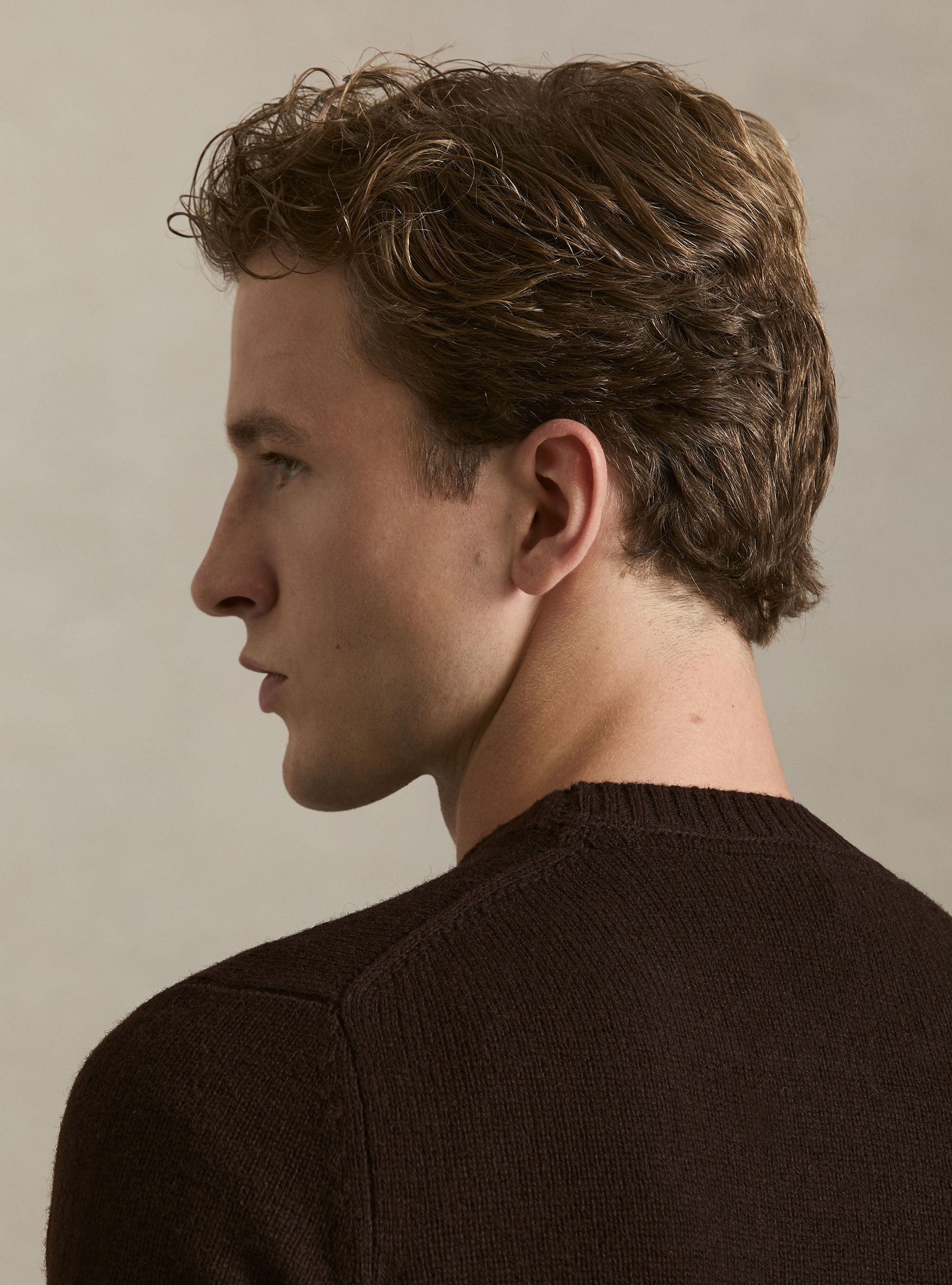 Pure Shetland wool crewneck sweater, BROWN