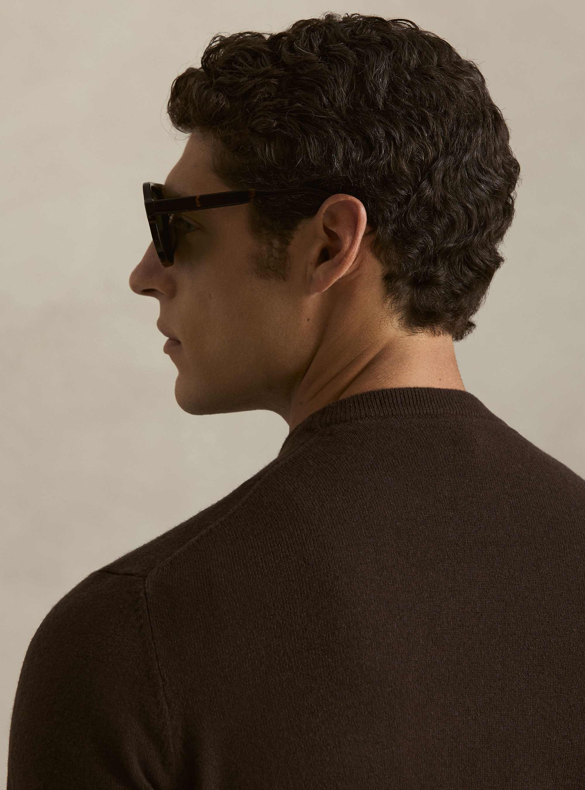 Lambswool and cashmere crewneck sweater, BROWN