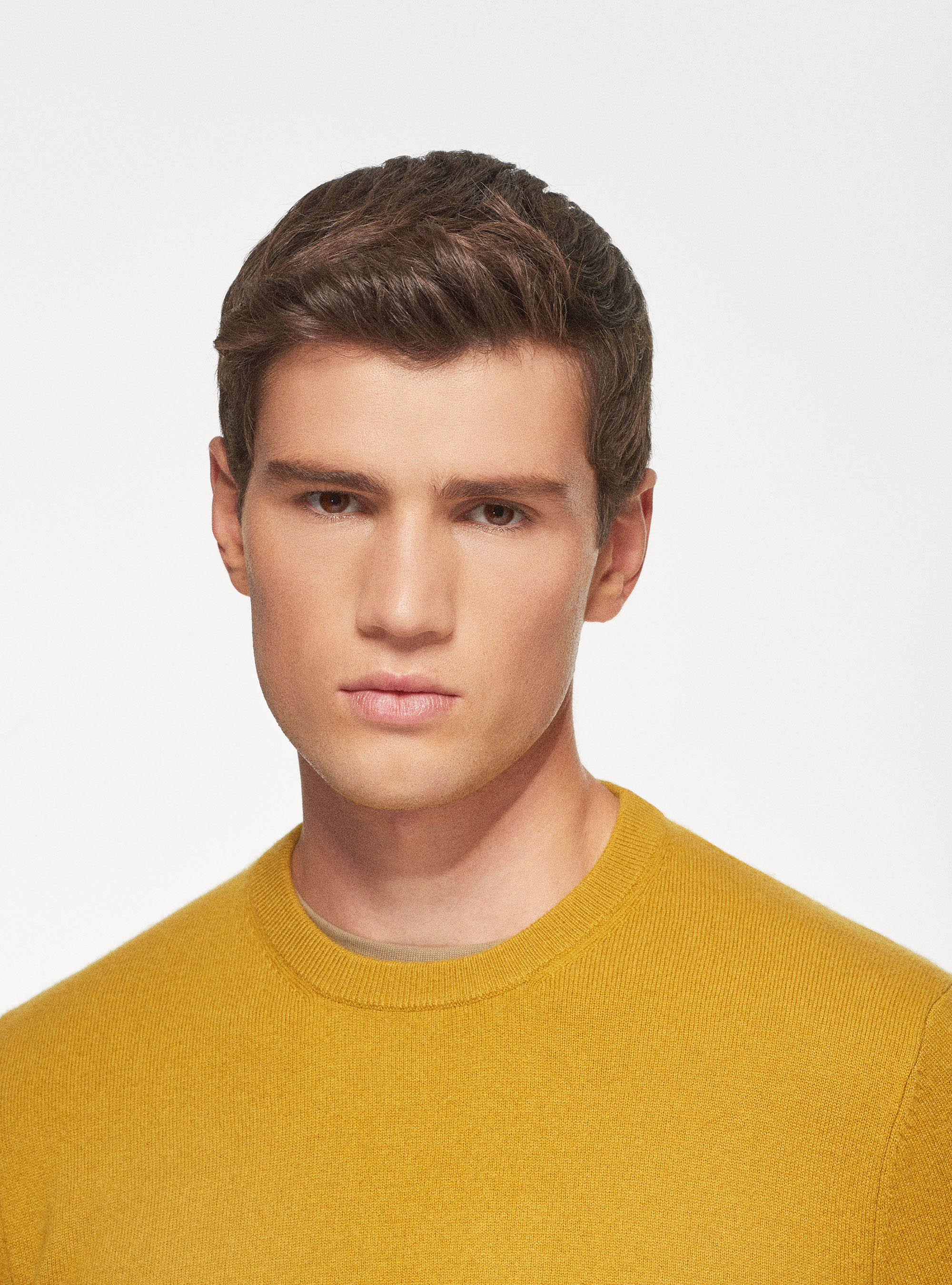 Pull &agrave; col ras du cou en pur cachemire, SENAPE 0715C