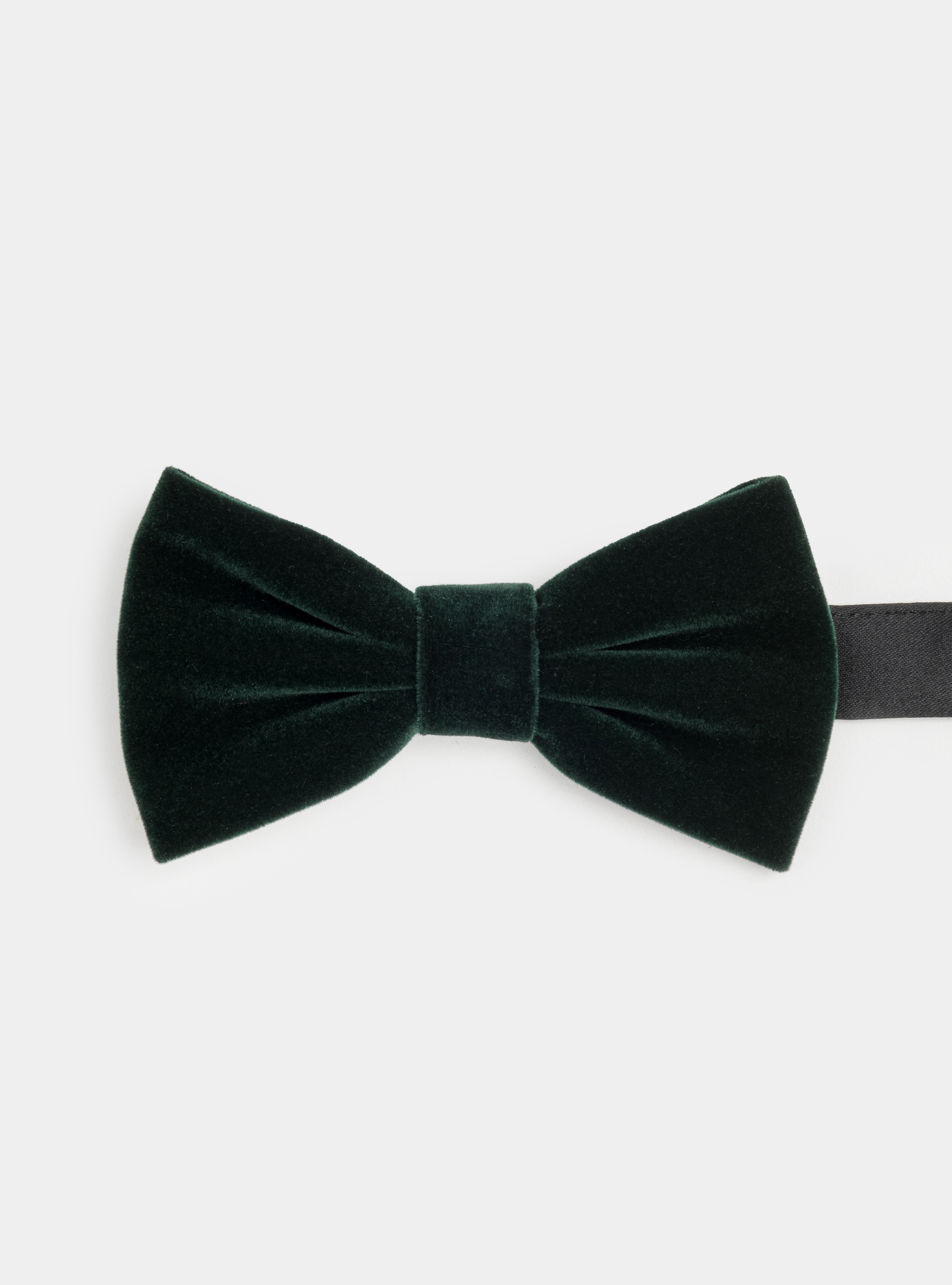 Papillon in velluto, VERDE